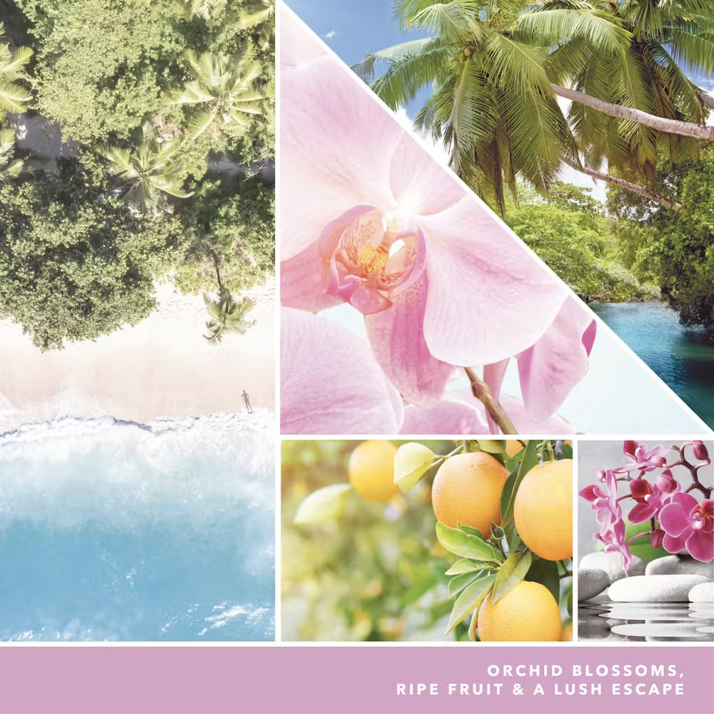 Wild Orchid - Image 2