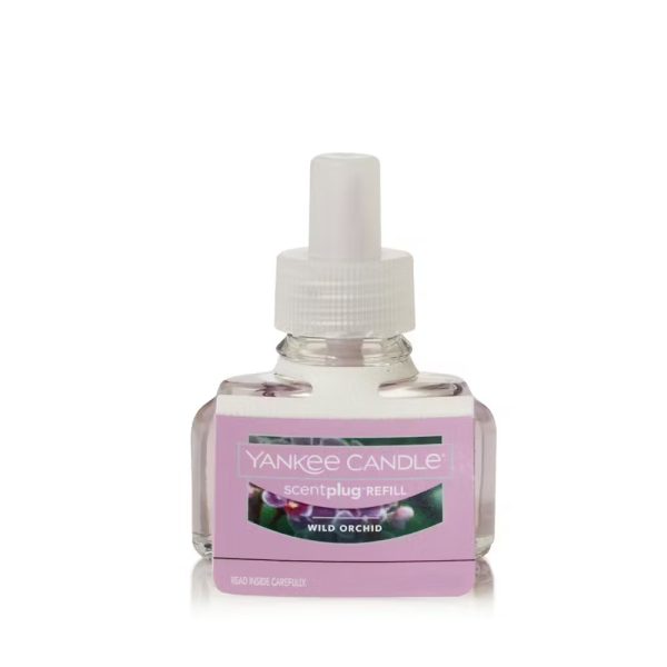 Wild Orchid