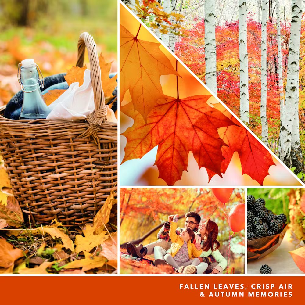 Autumn Leaves® - Image 2
