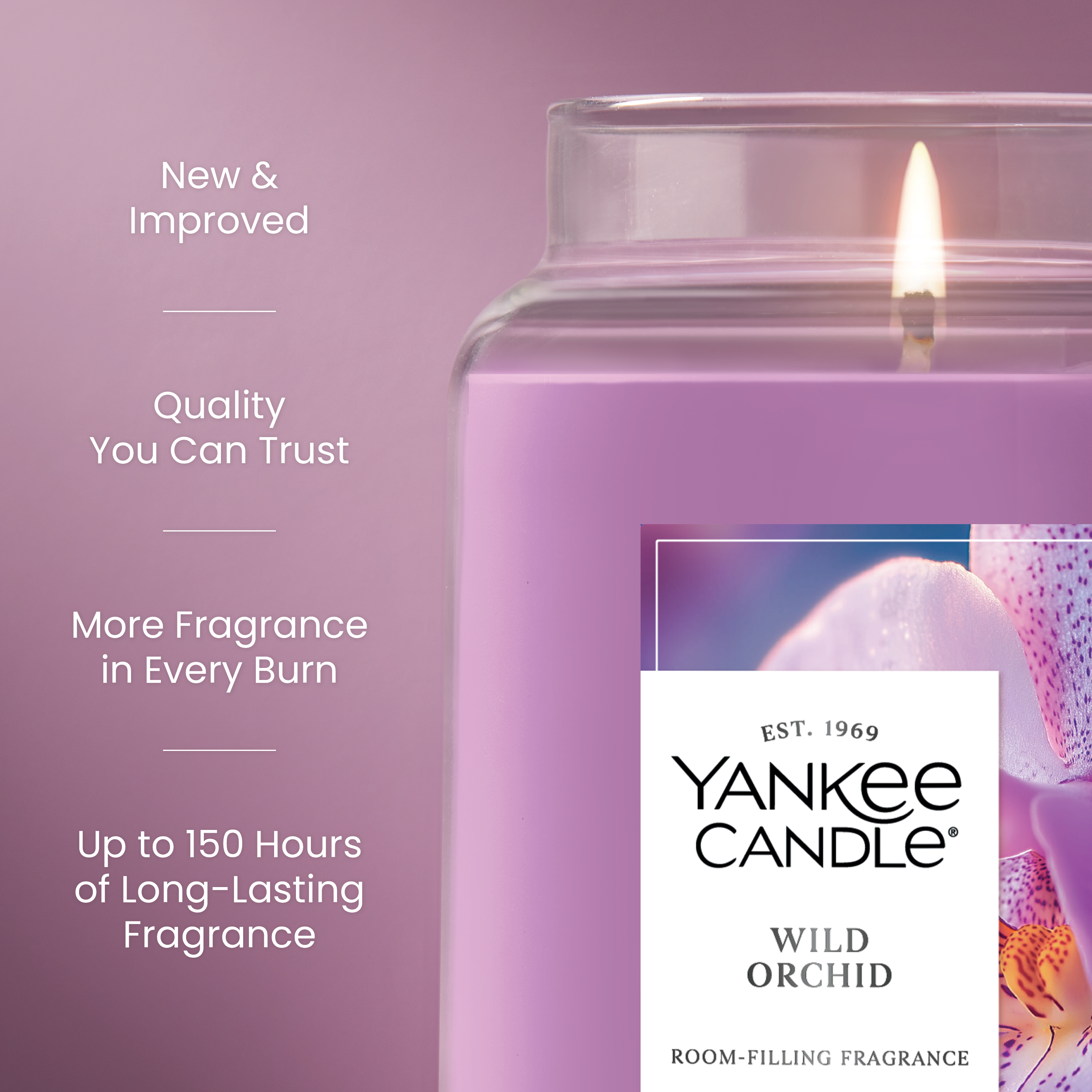 Wild Orchid - Image 20