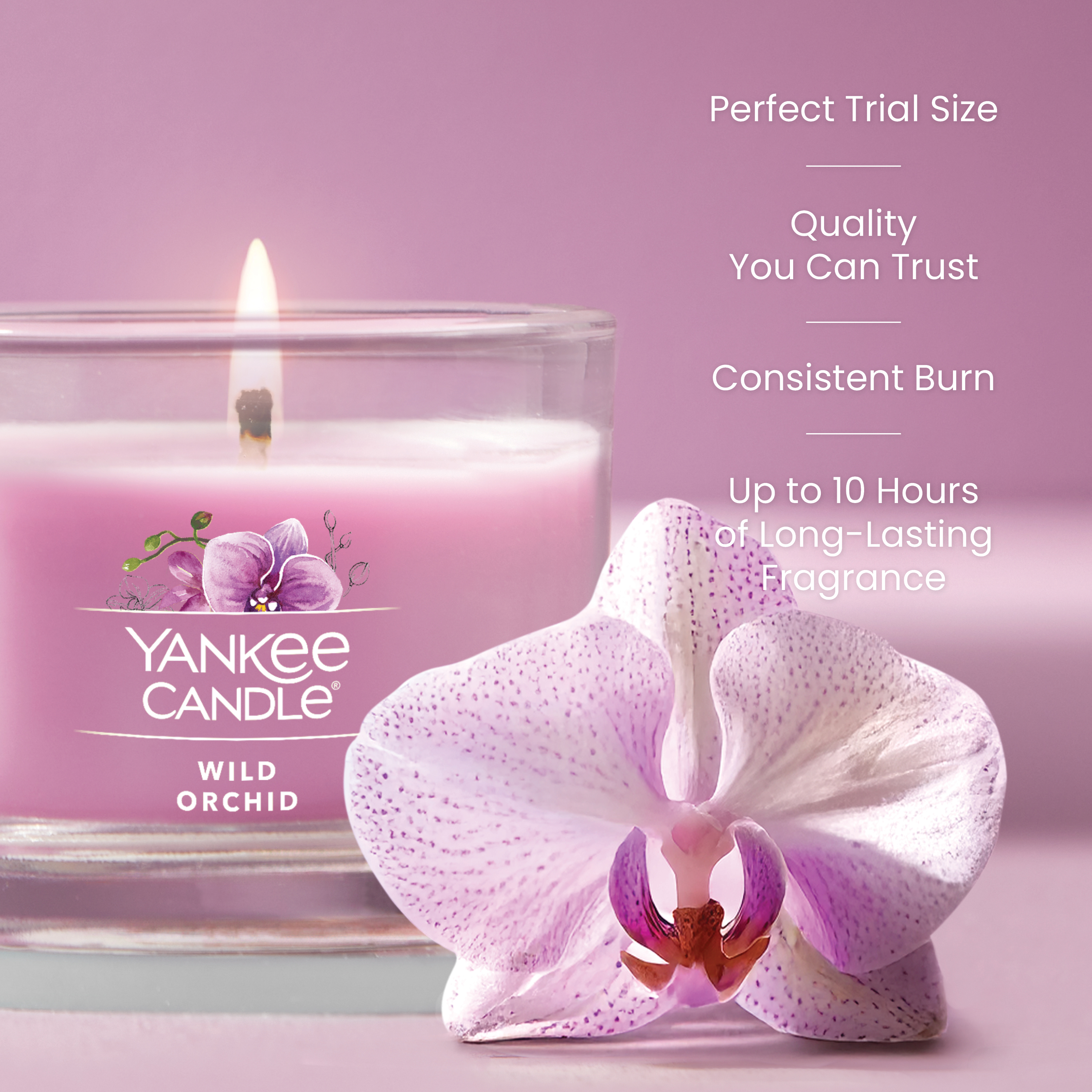 Wild Orchid - Image 32