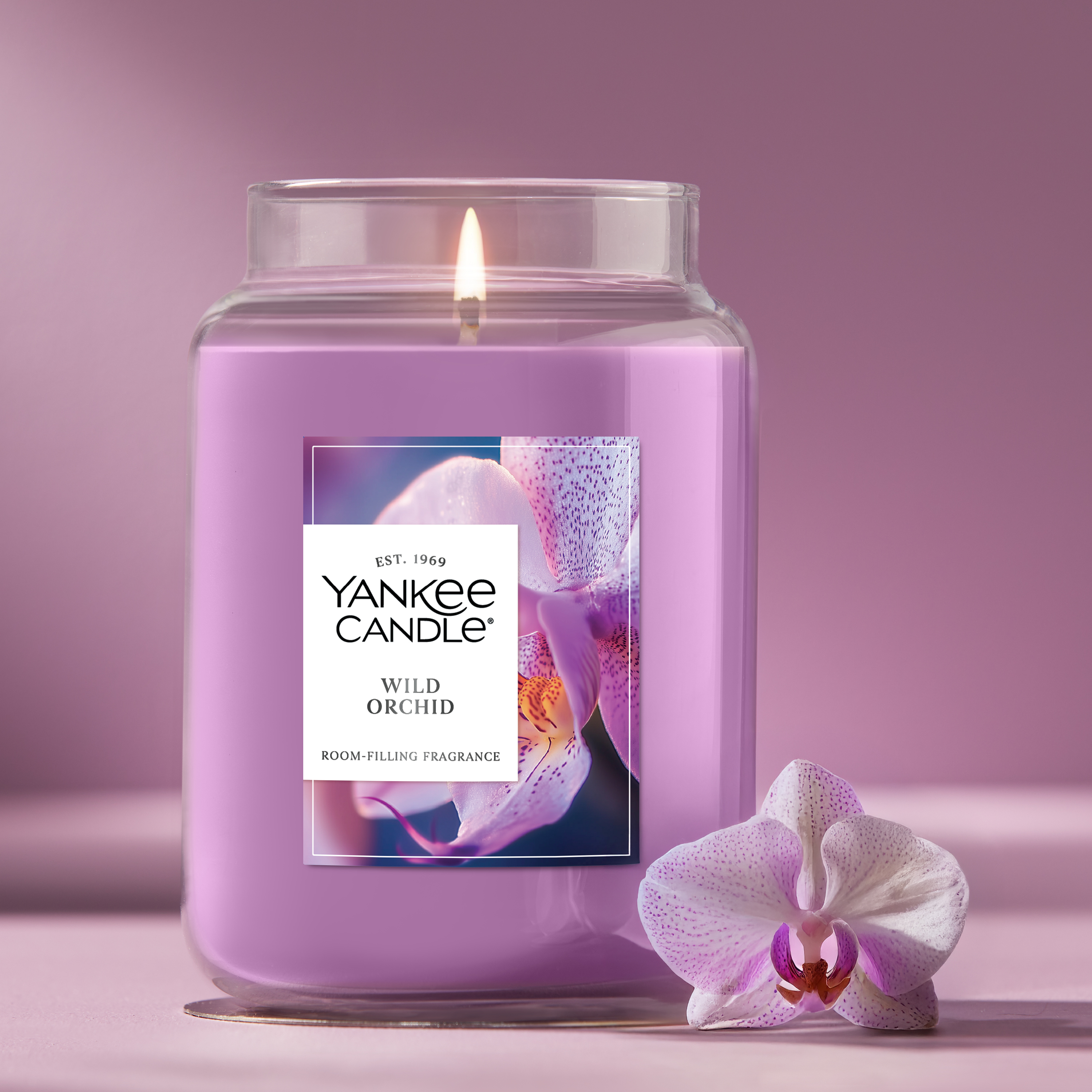 Wild Orchid - Image 19