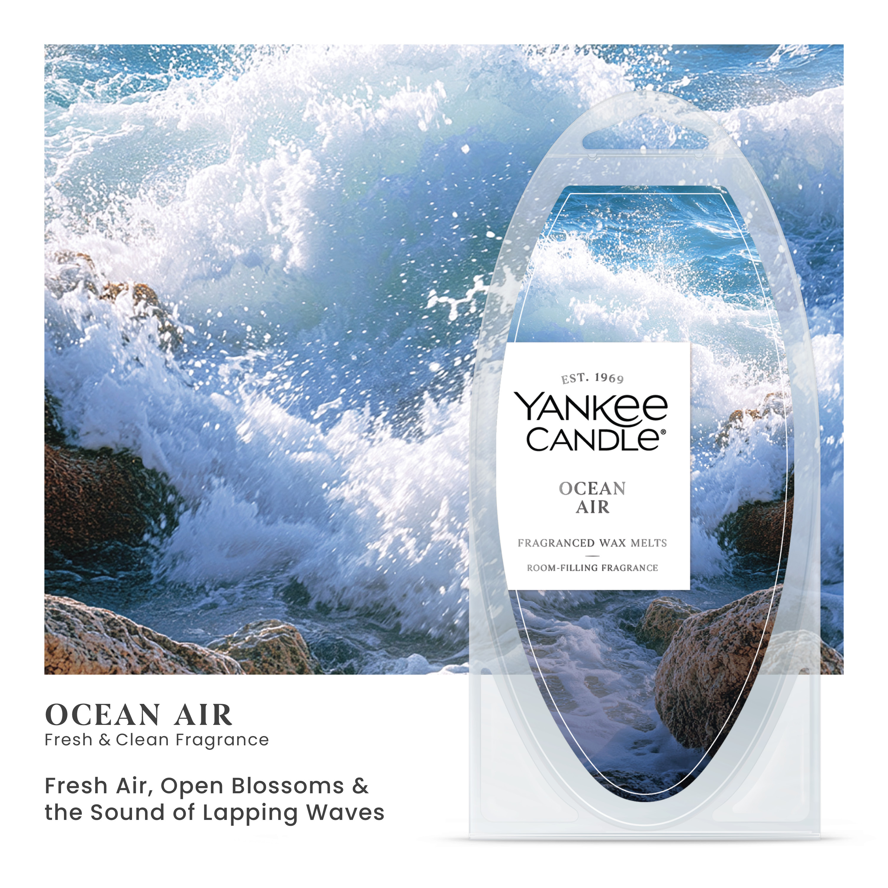 Ocean Air - Image 26