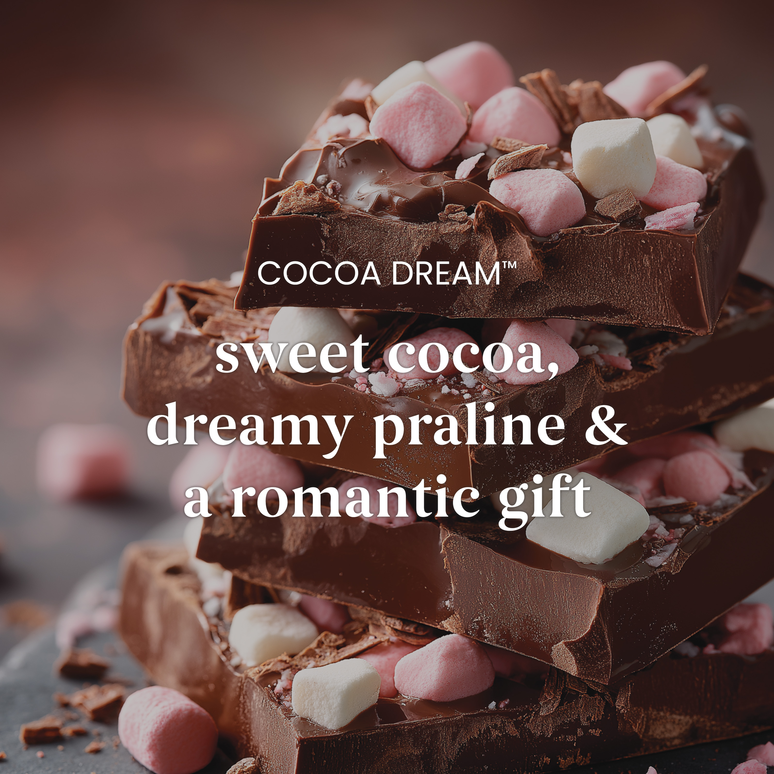 Cocoa Dream - Image 3