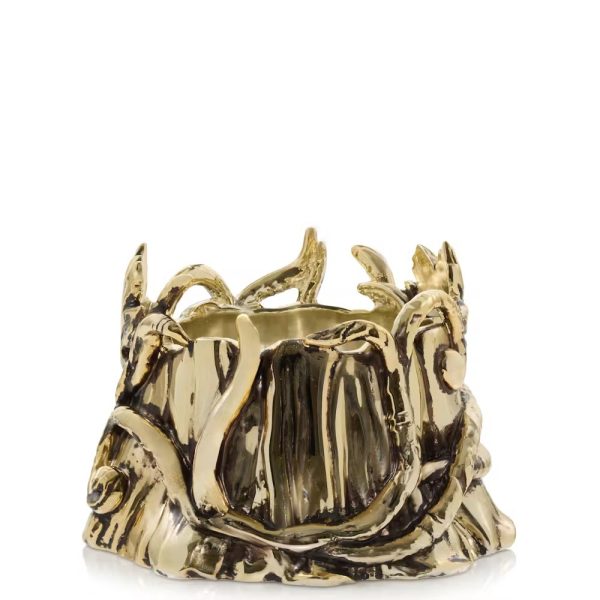 Enchanted Tree Holder