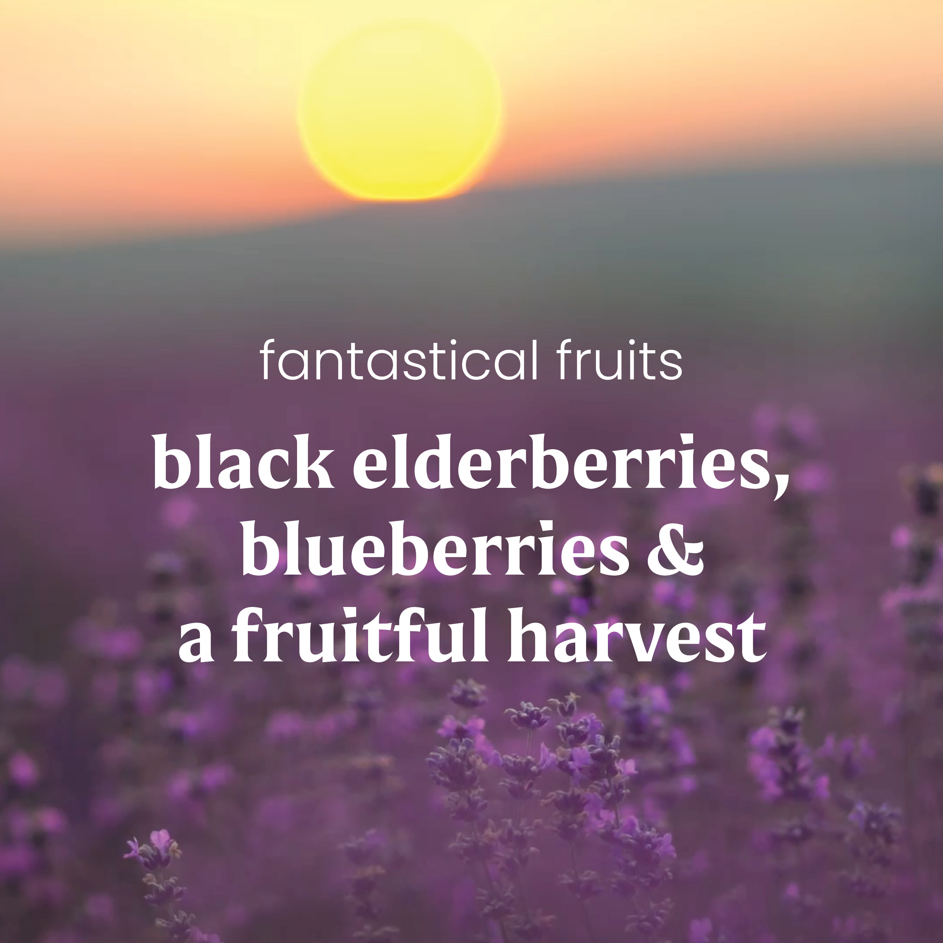 Fantastical Fruits - Image 3