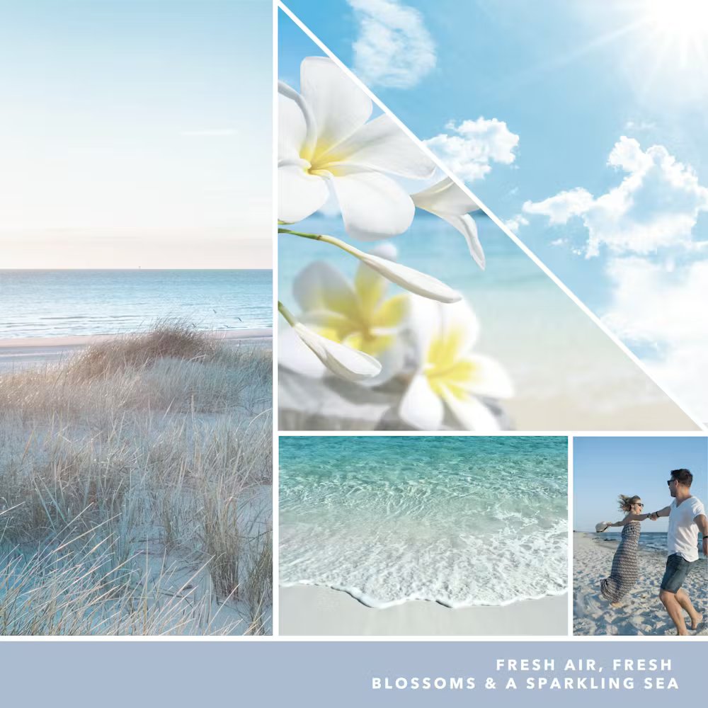 Ocean Air - Image 8