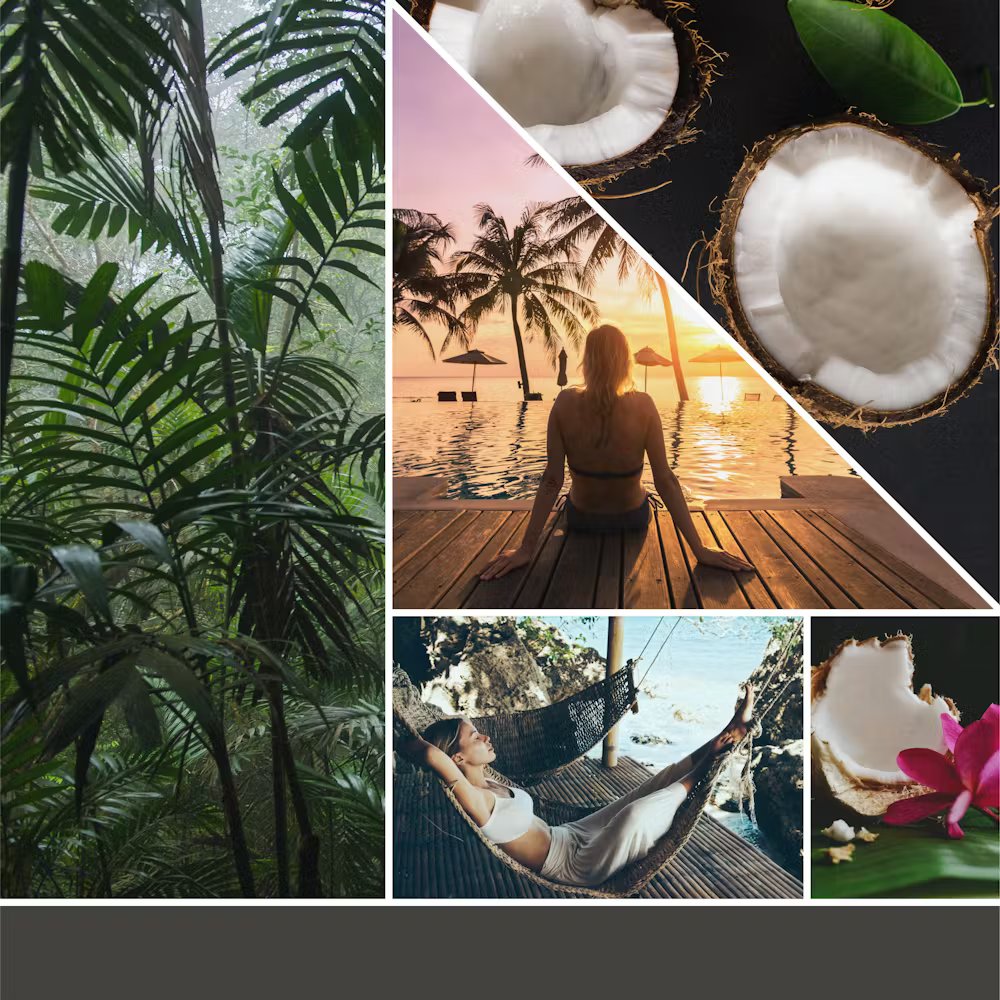 Black Coconut - Image 2
