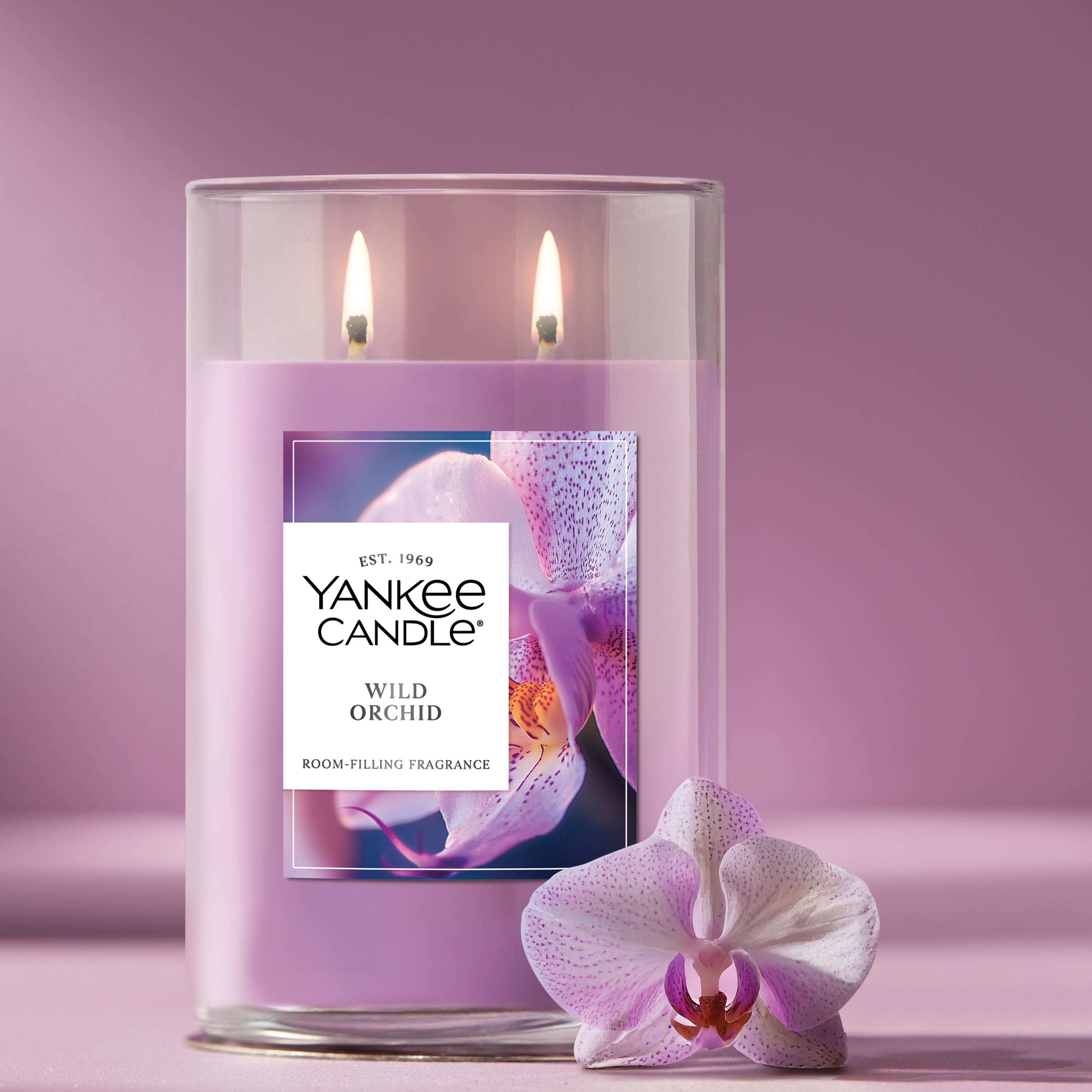 Wild Orchid - Image 4