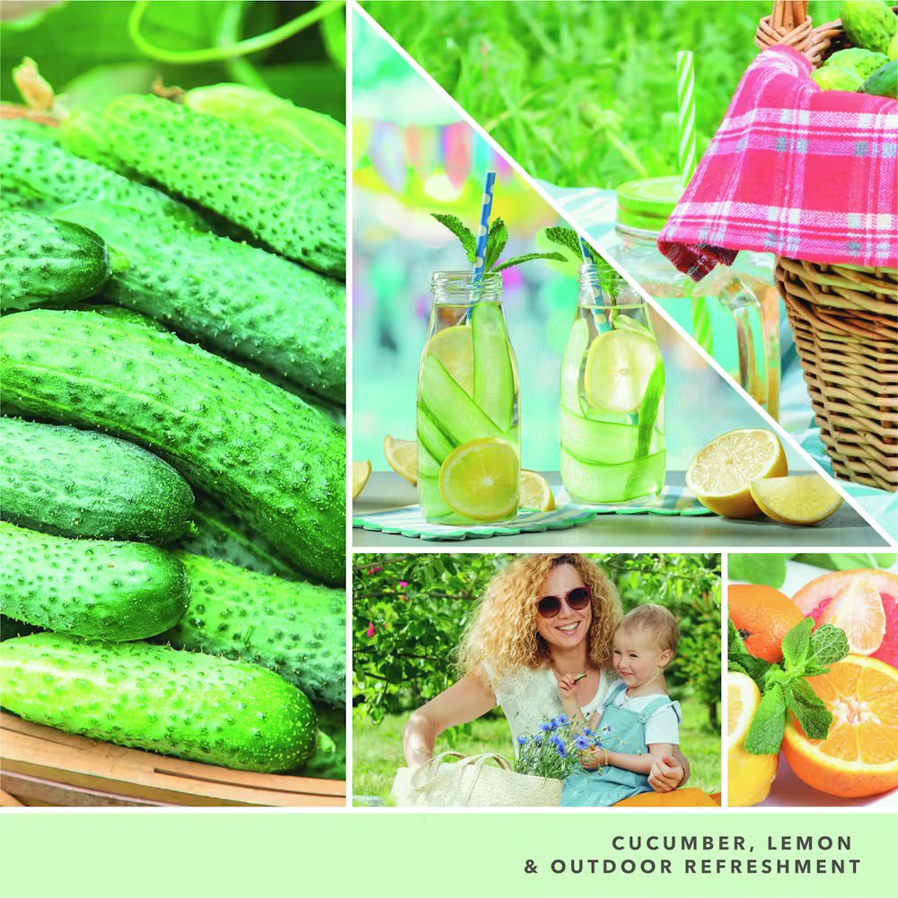 Cucumber Mint Cooler - Image 13
