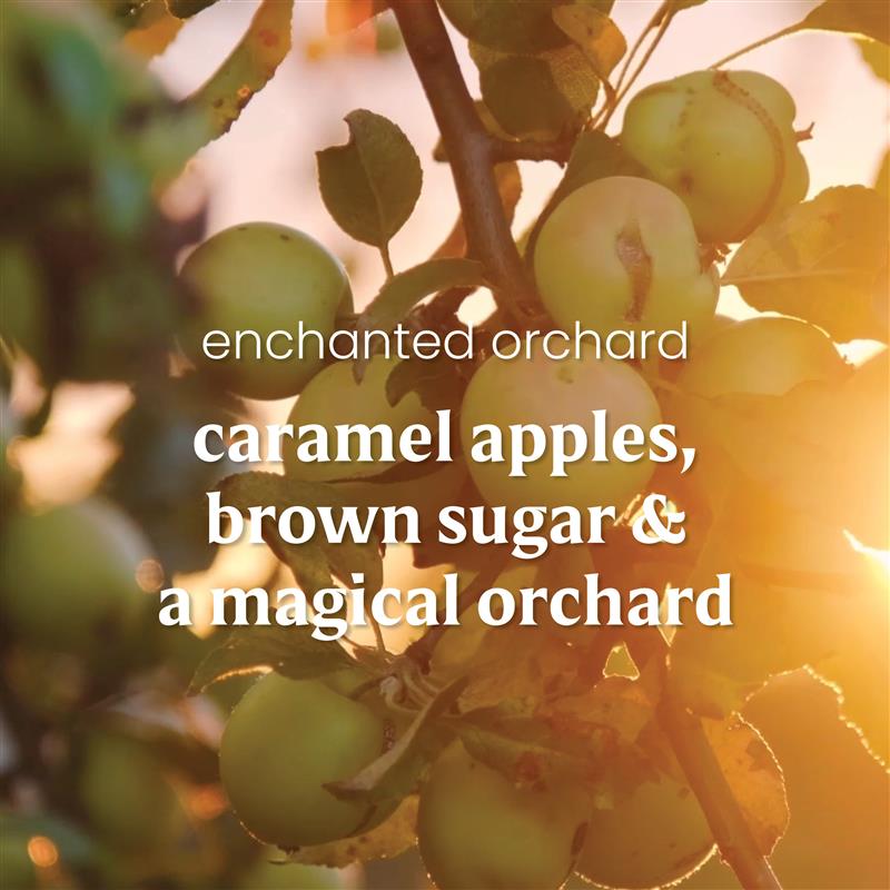 Enchanted Orchard - Image 3