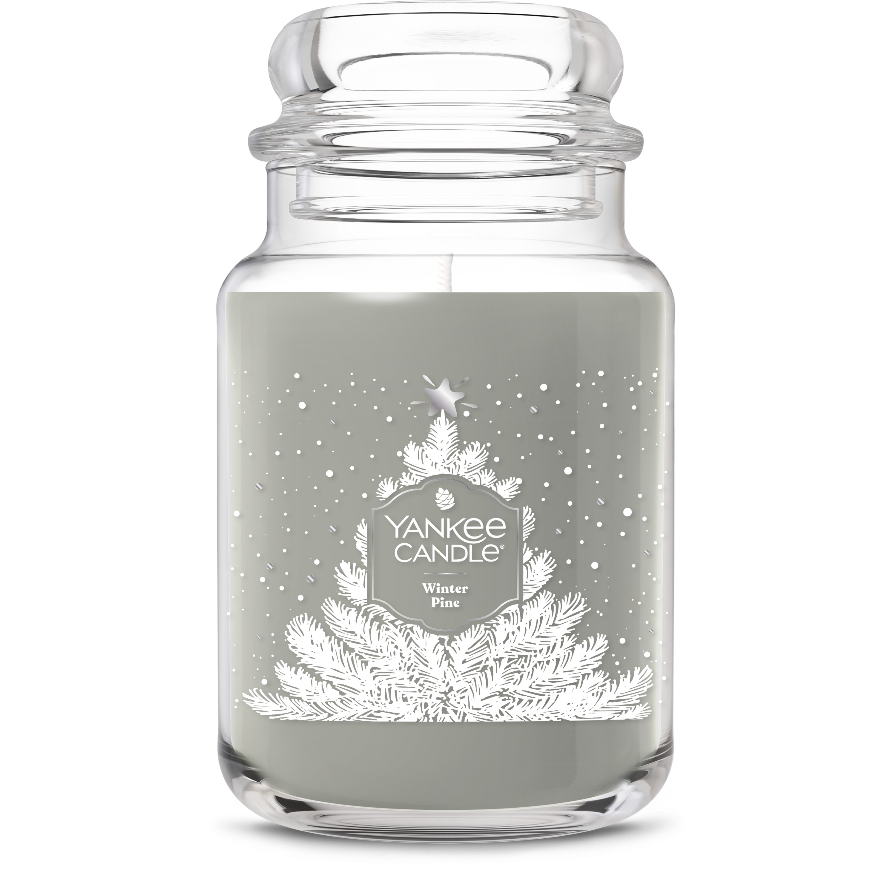 Winter Pine - Image 7