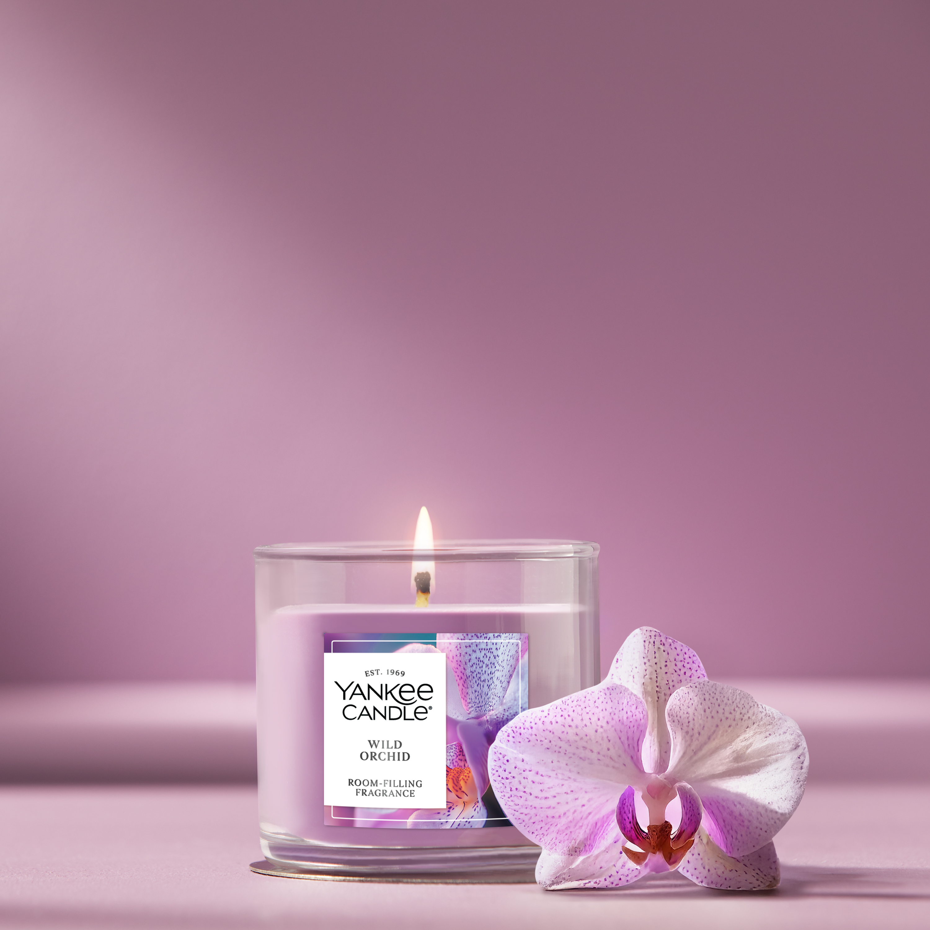 Wild Orchid - Image 15