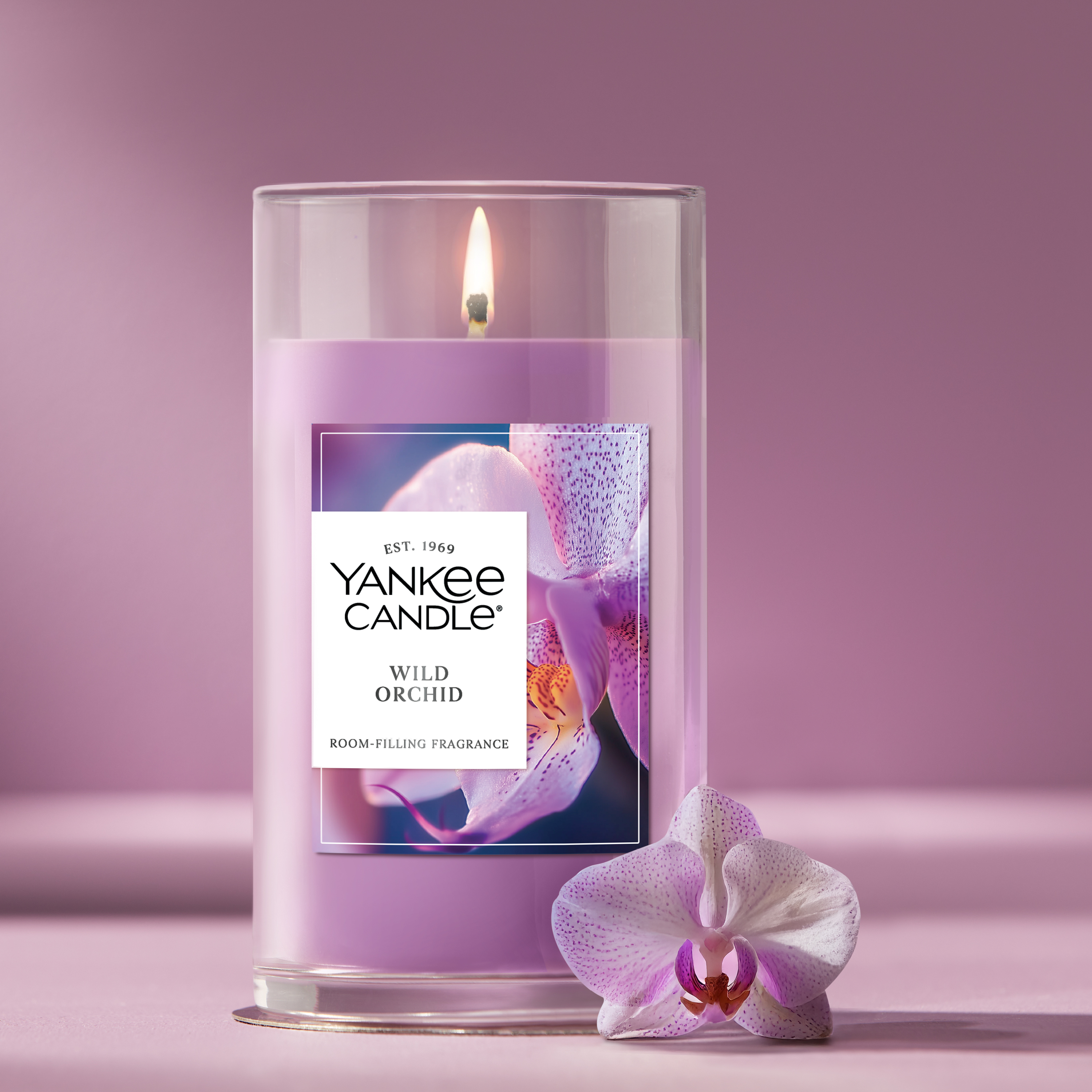 Wild Orchid - Image 12