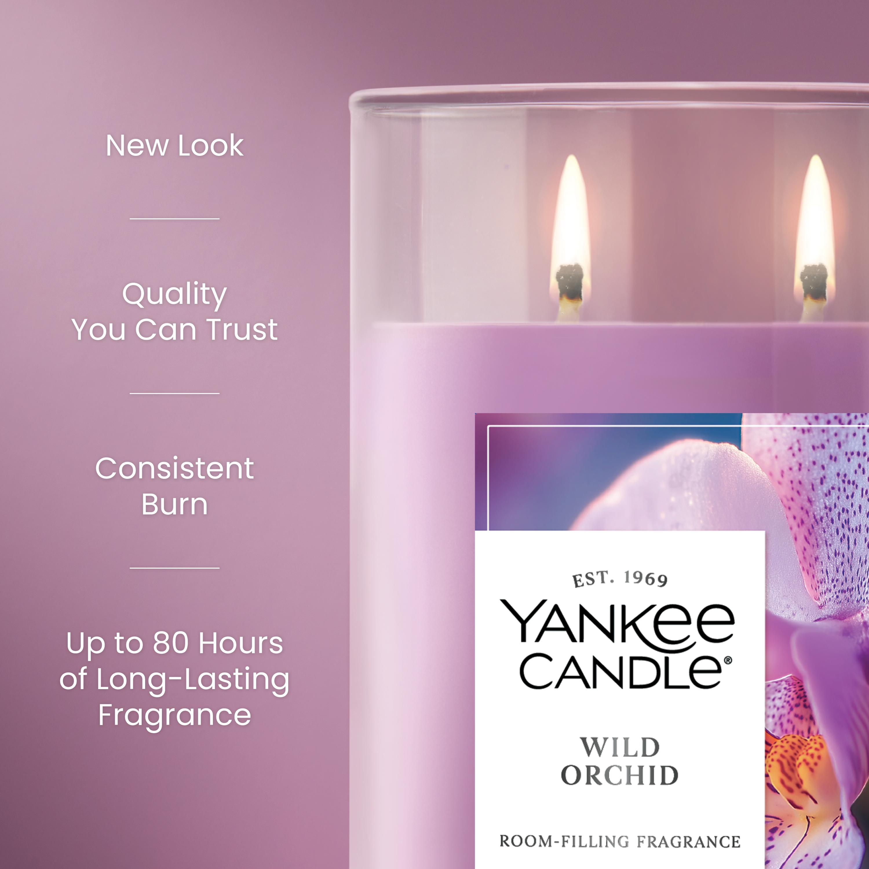 Wild Orchid - Image 6