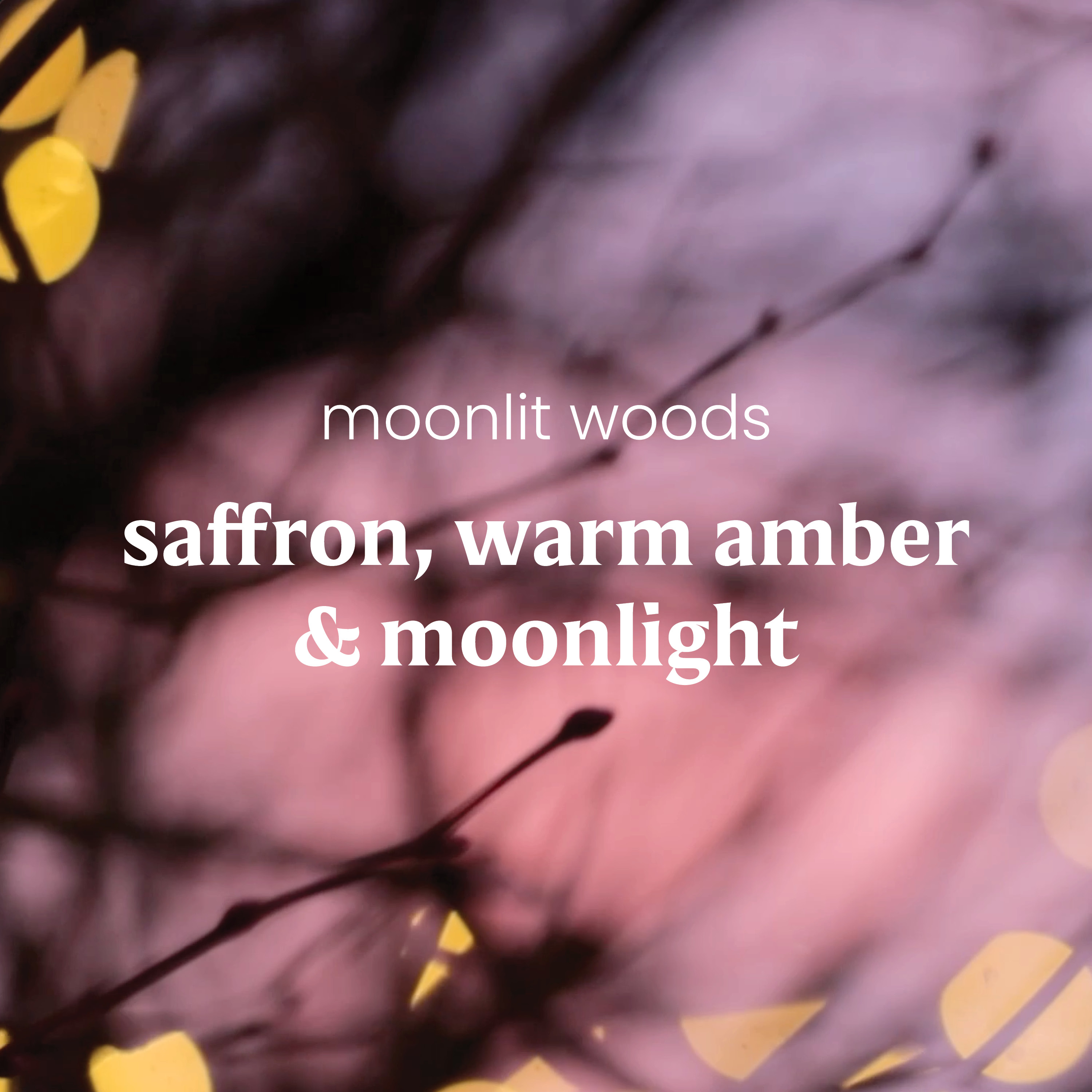 Moonlit Woods - Image 3