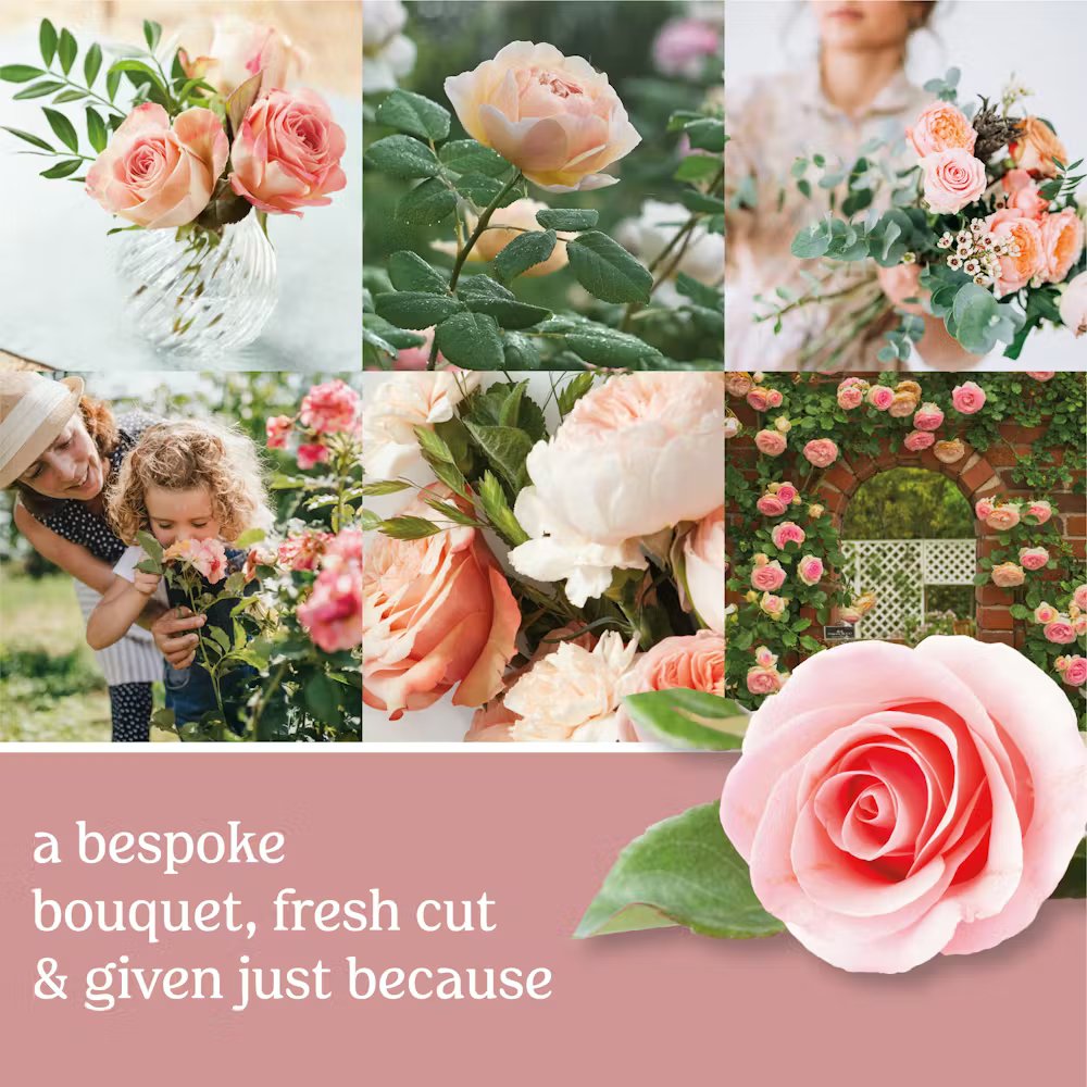 Fresh Cut Roses - Image 8