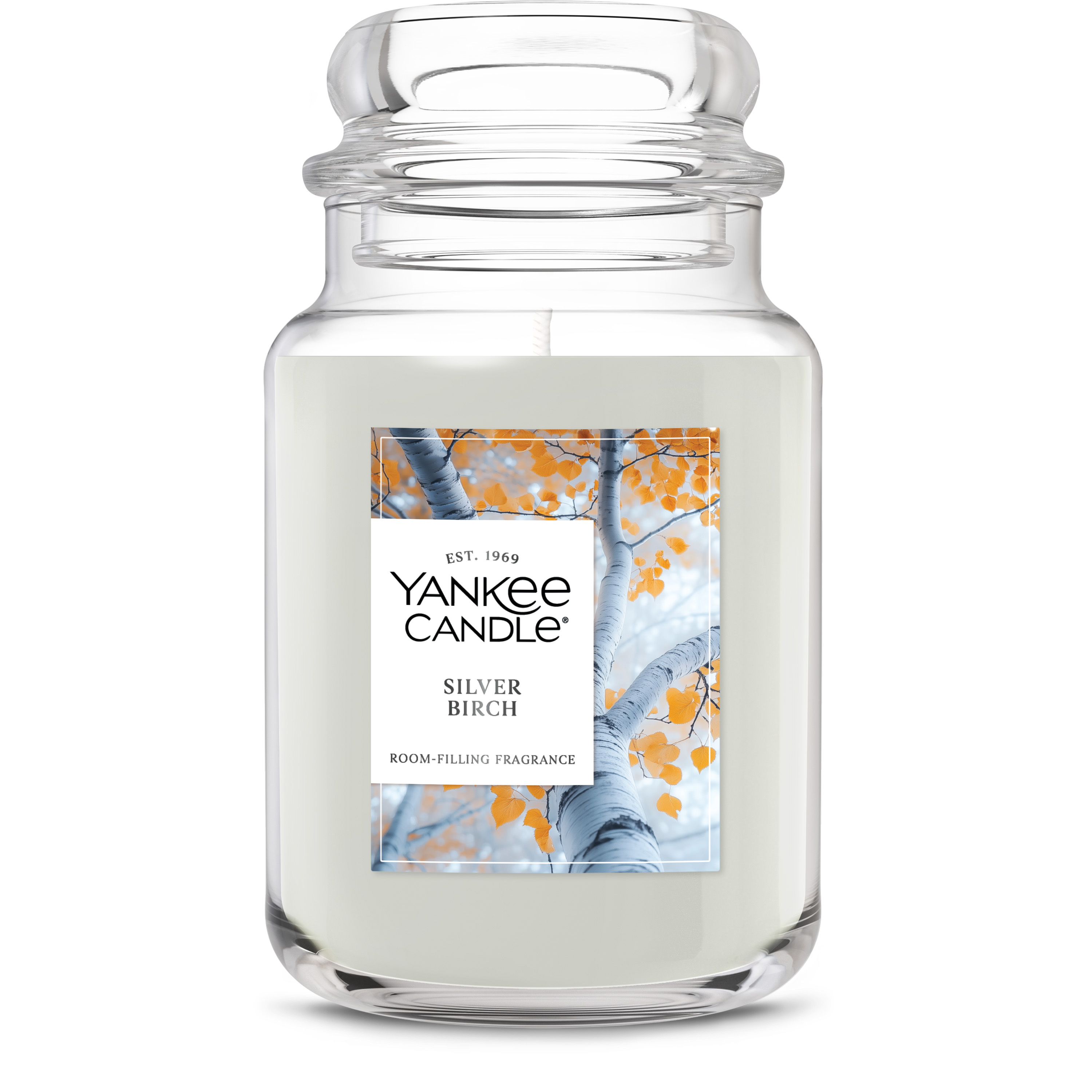 Silver Birch - Image 10