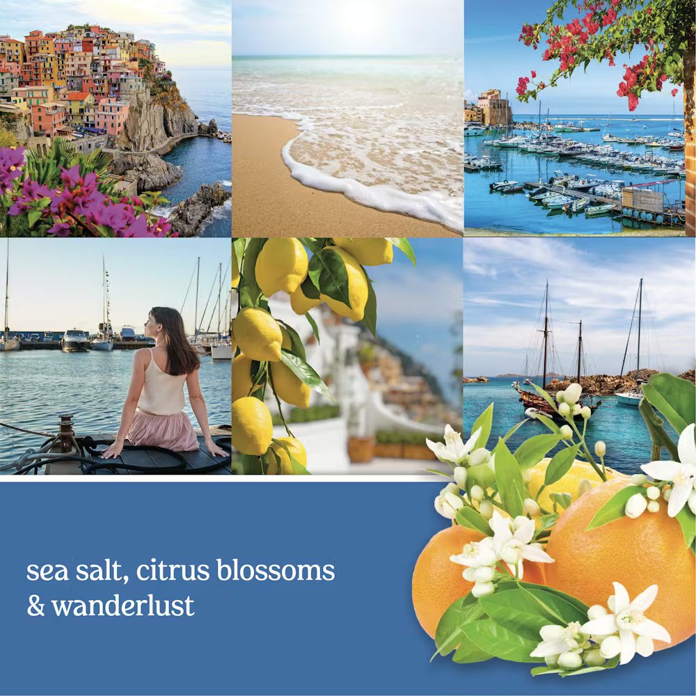Mediterranean Breeze - Image 13