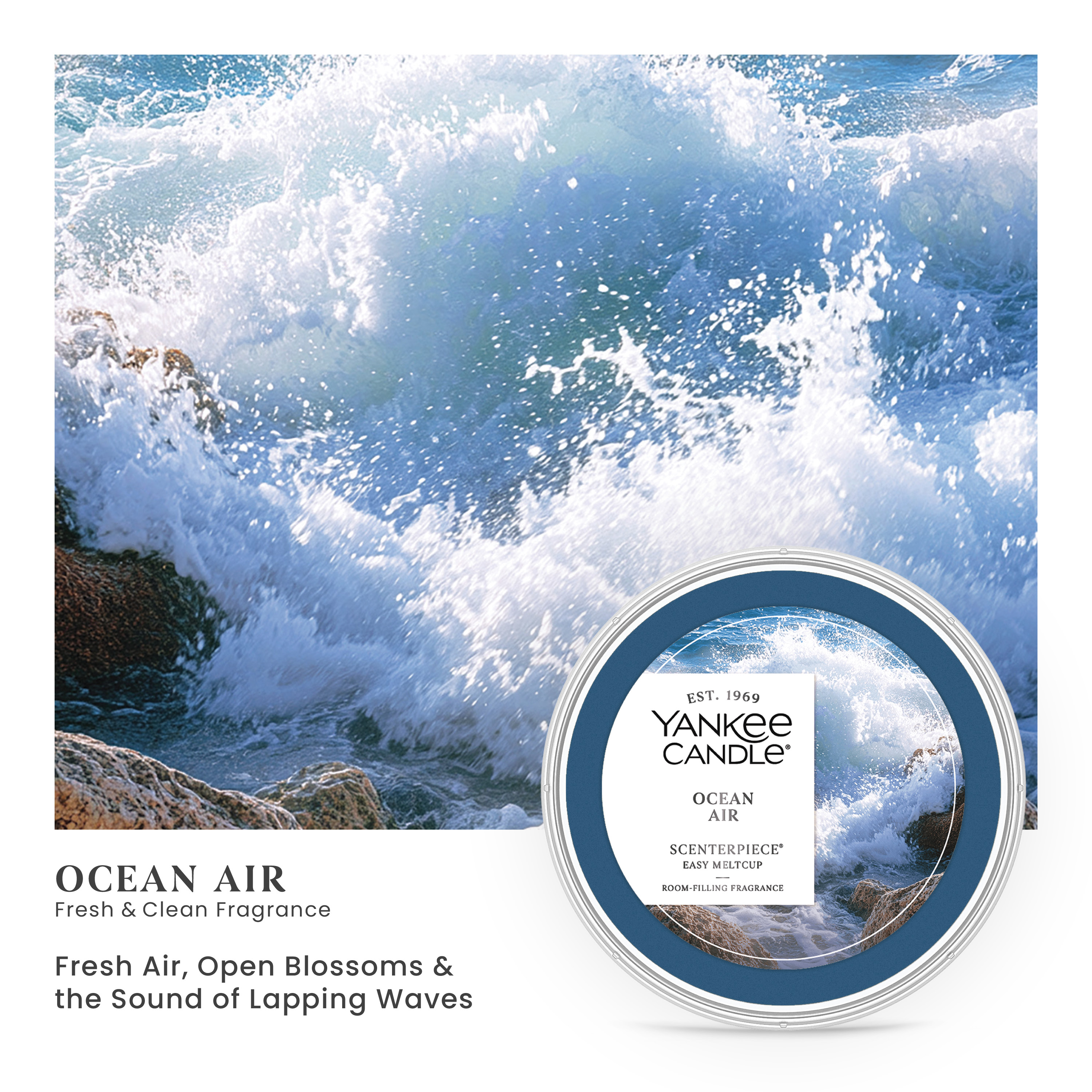 Ocean Air - Image 15