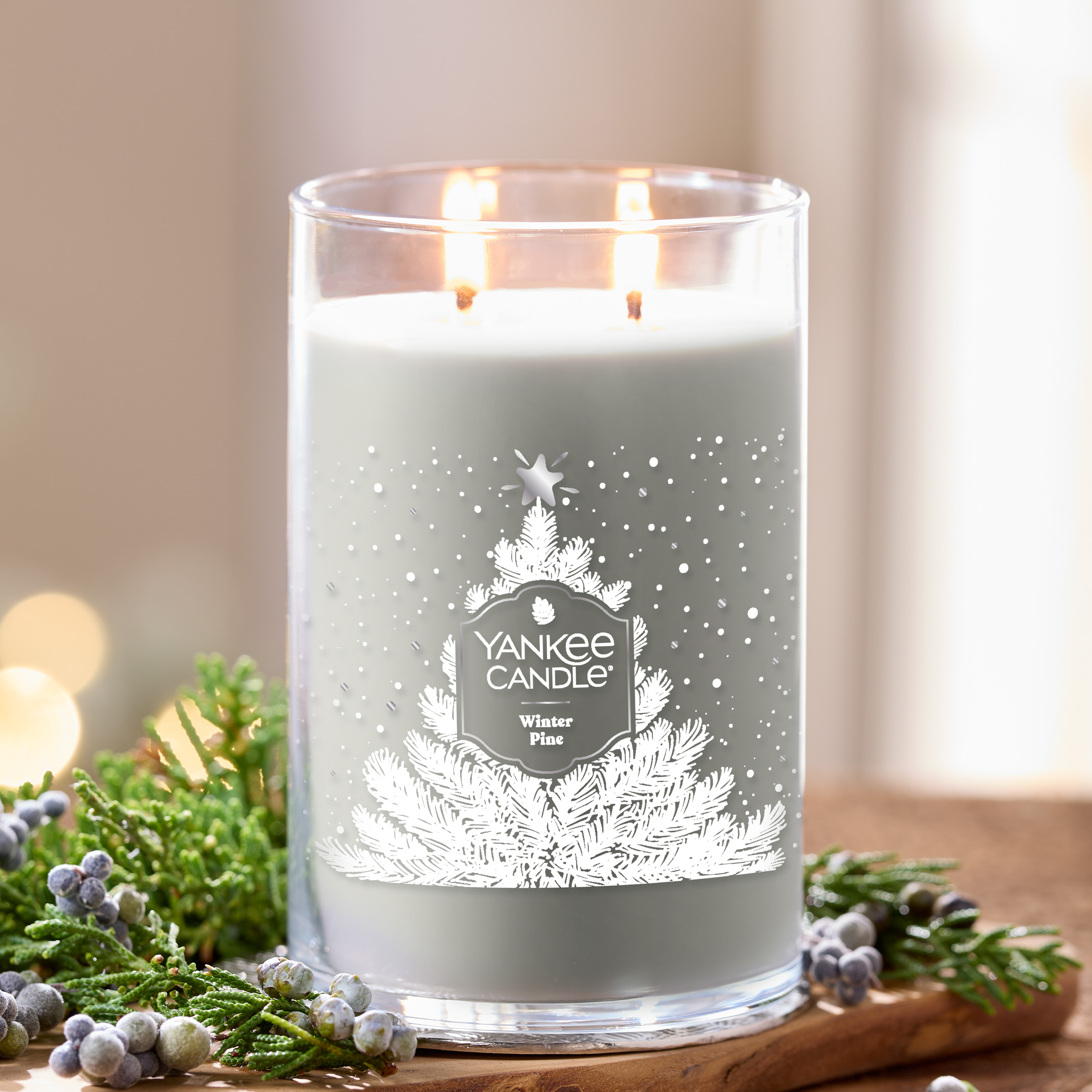 Winter Pine - Image 4