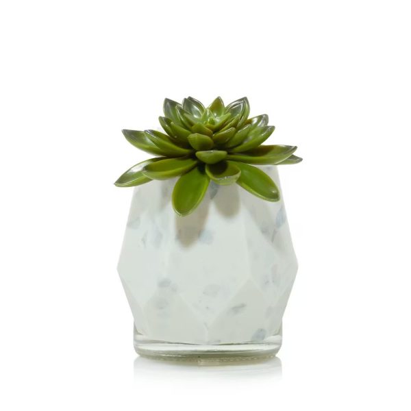 Faceted Succulent ScentPlug® Diffuser w/ Light