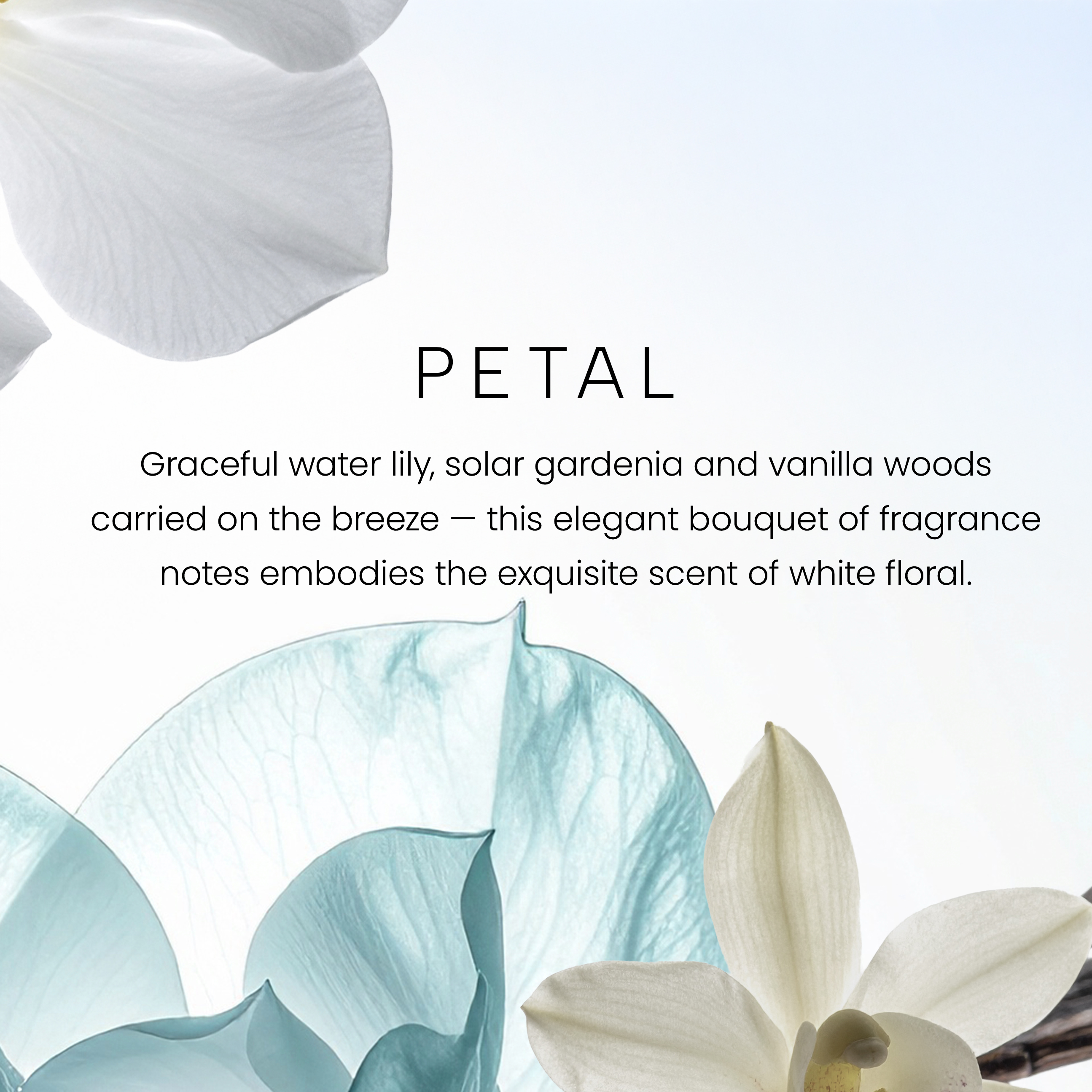 Petal Premium Reed Diffuser - Image 7