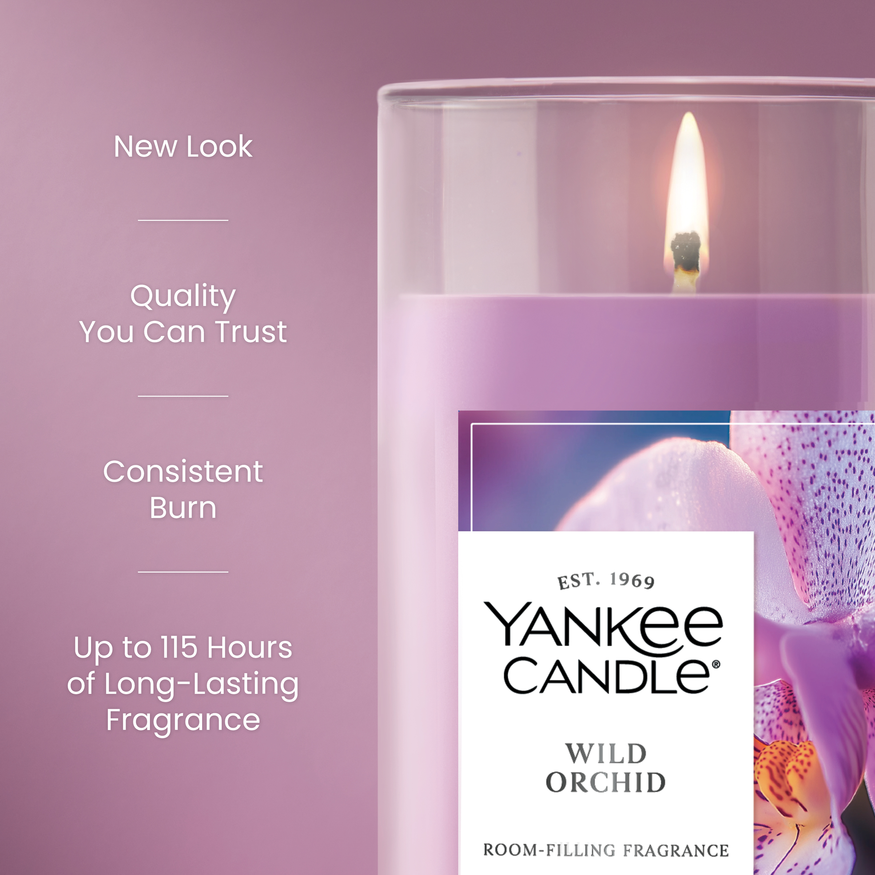 Wild Orchid - Image 13