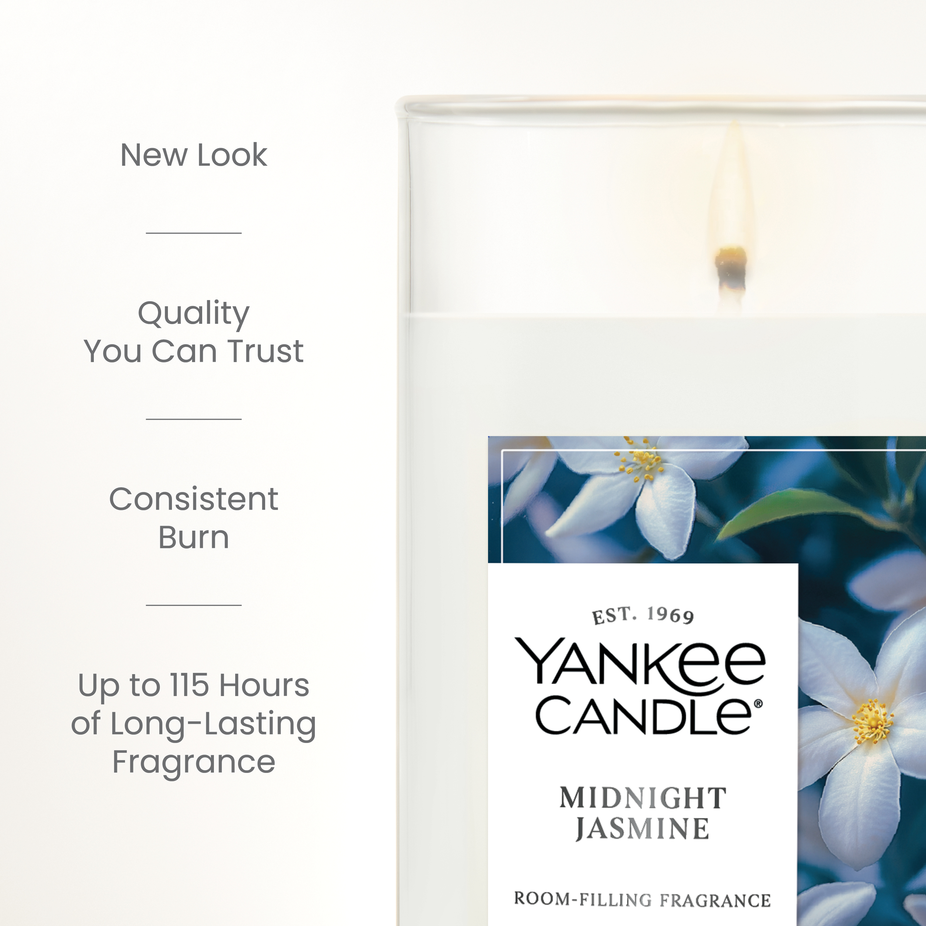 Midnight Jasmine - Image 10