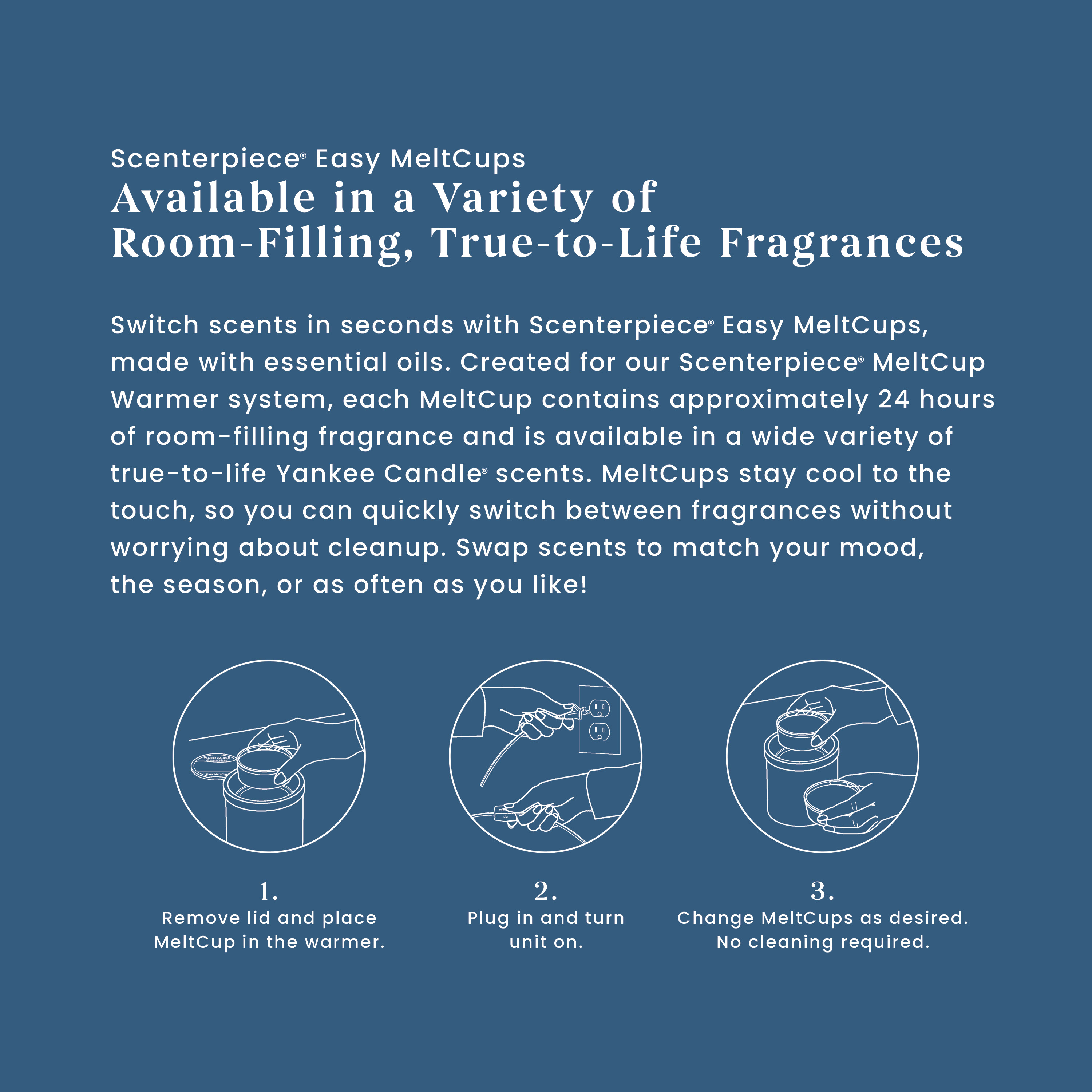 Ocean Air - Image 16
