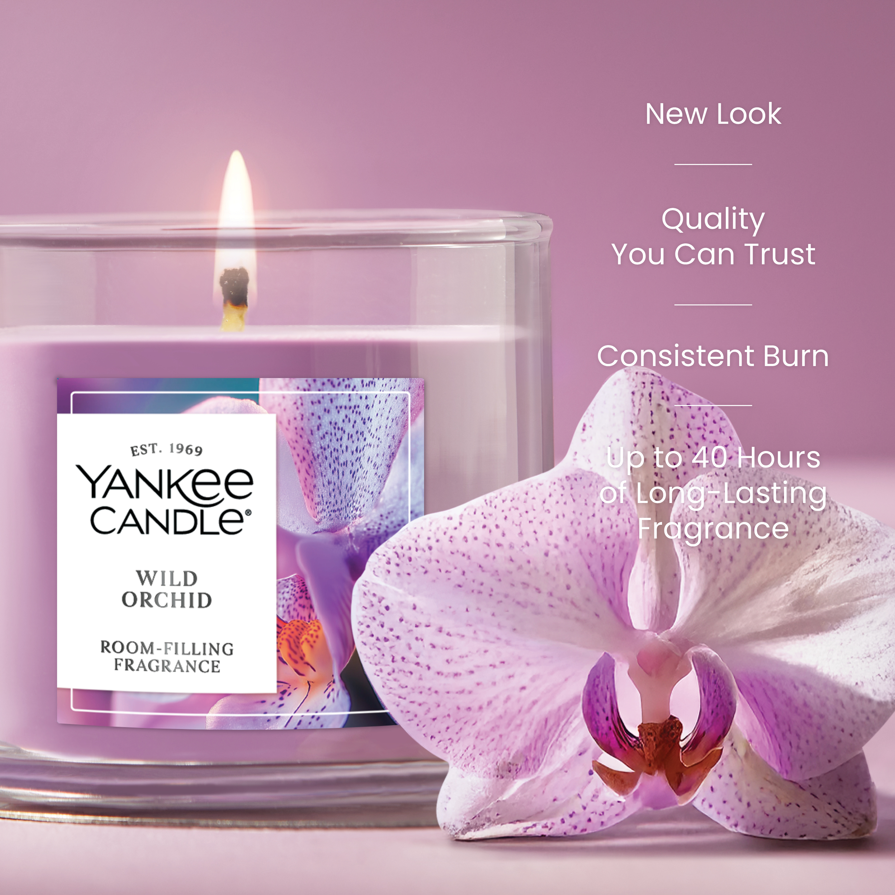 Wild Orchid - Image 16