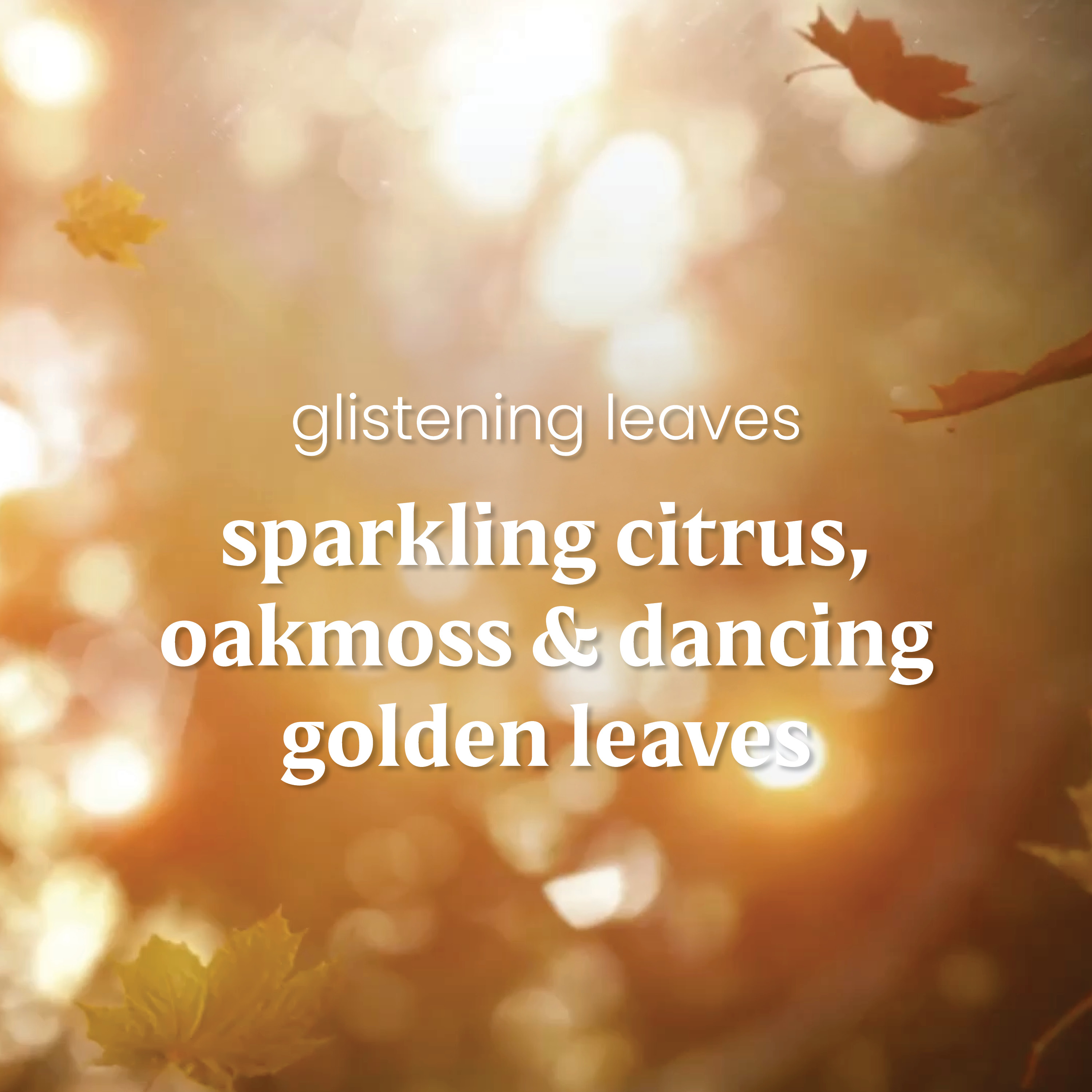 Glistening Leaves - Image 3