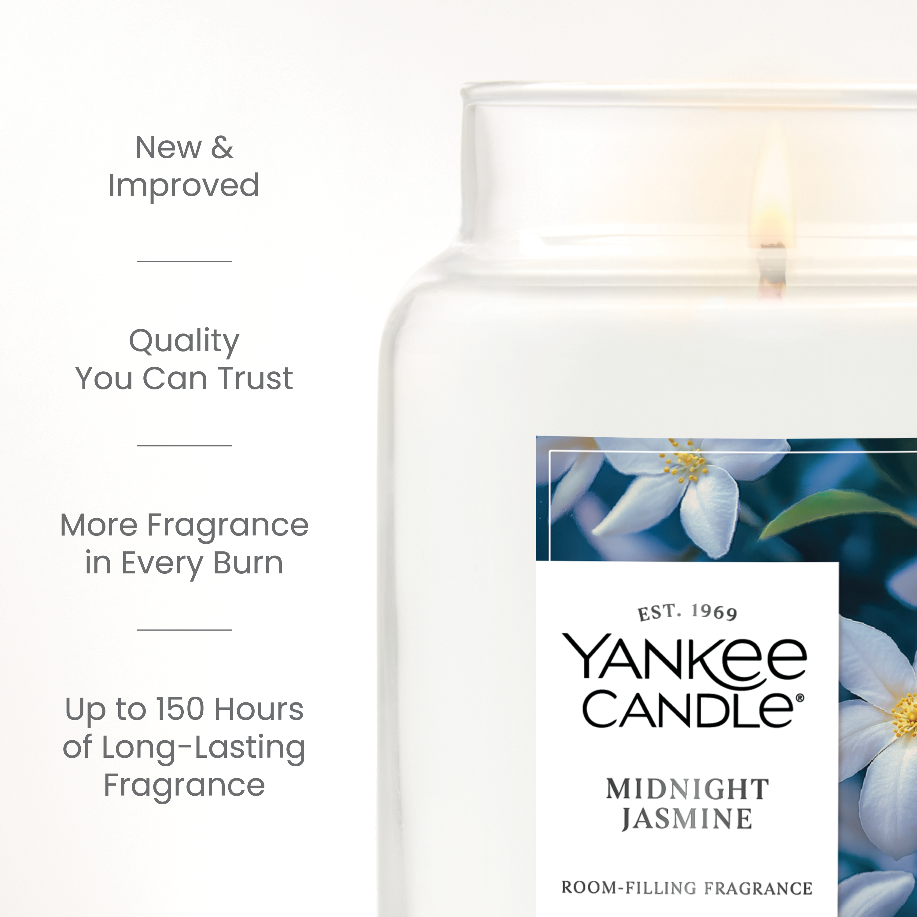 Midnight Jasmine - Image 4