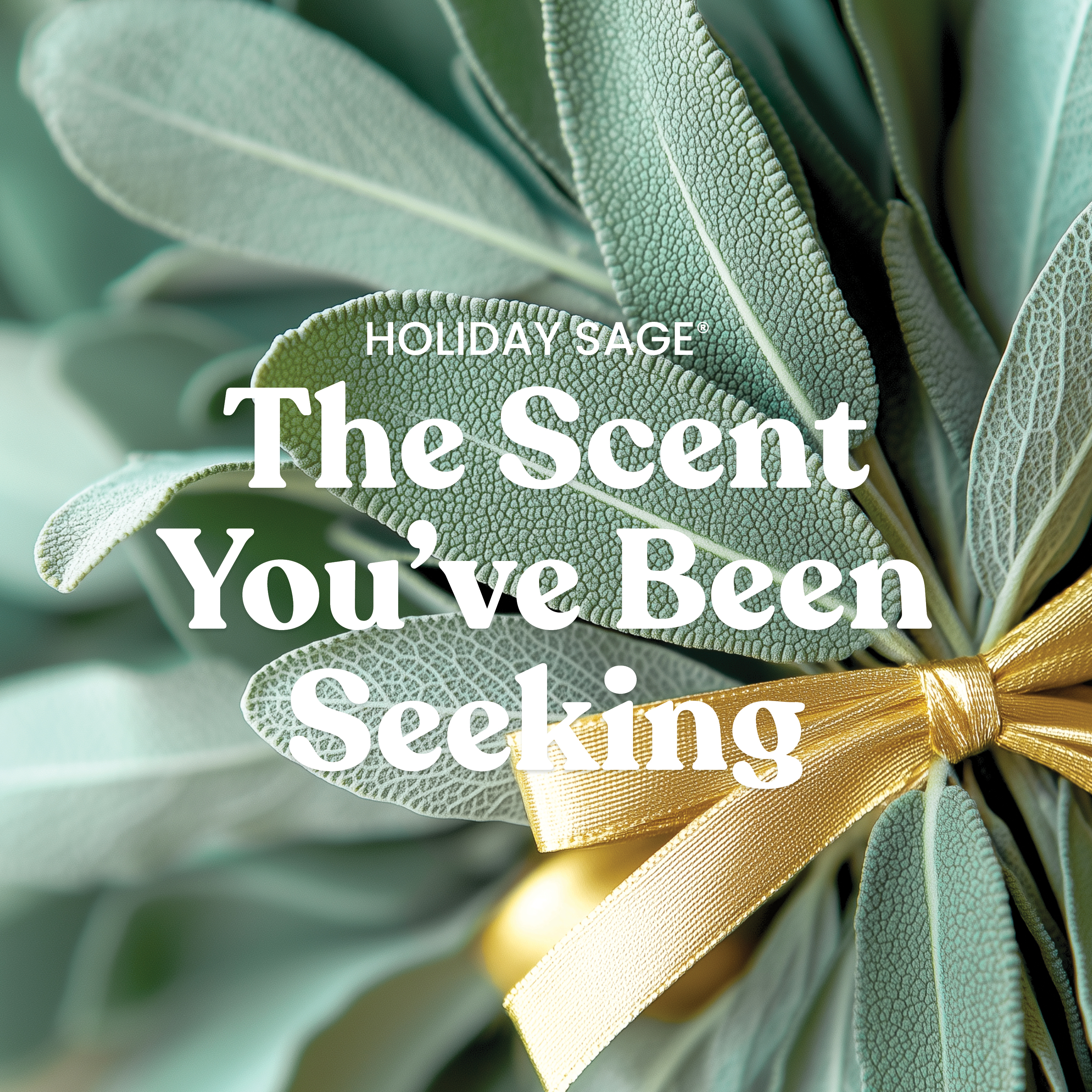 Holiday Sage® - Image 3