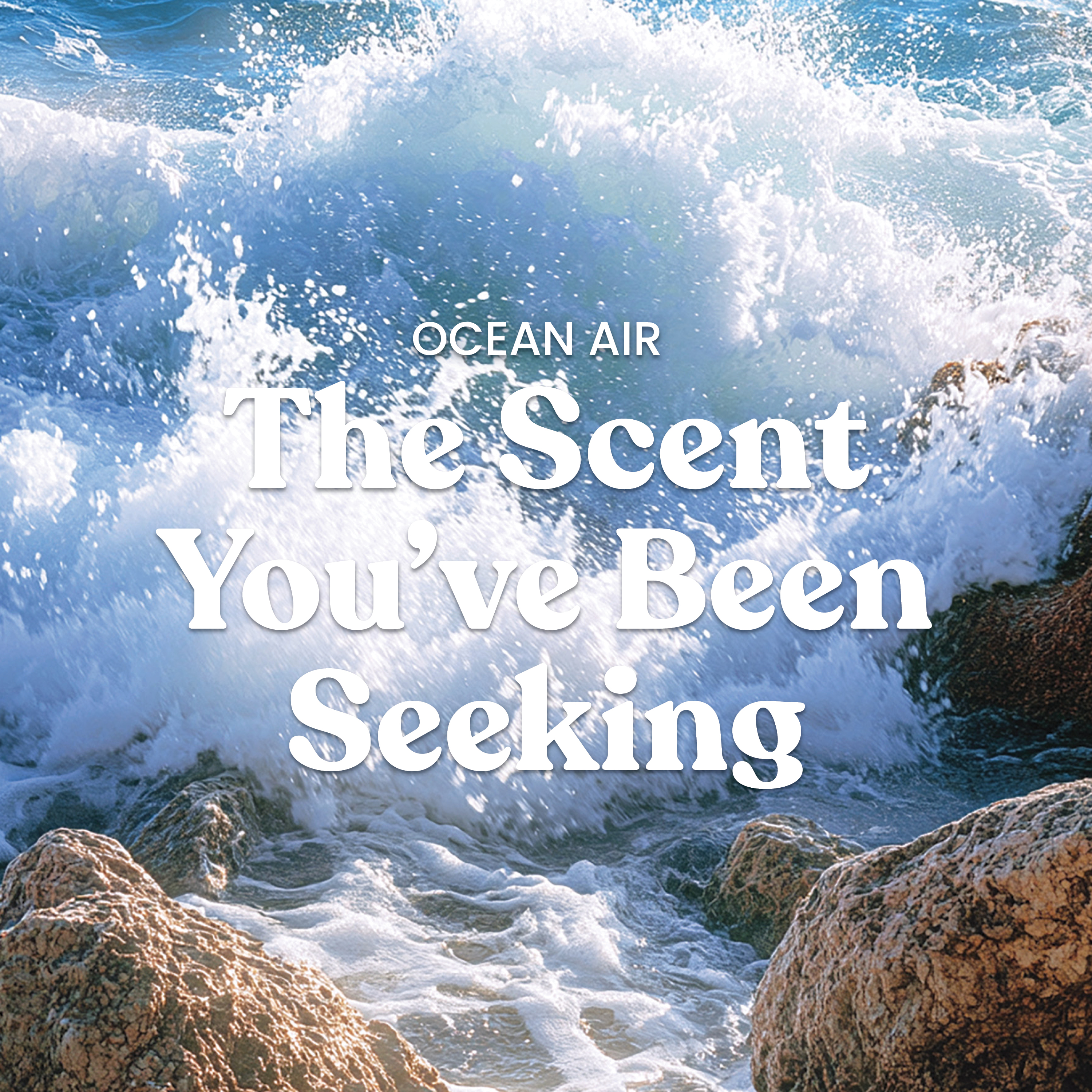 Ocean Air - Image 3