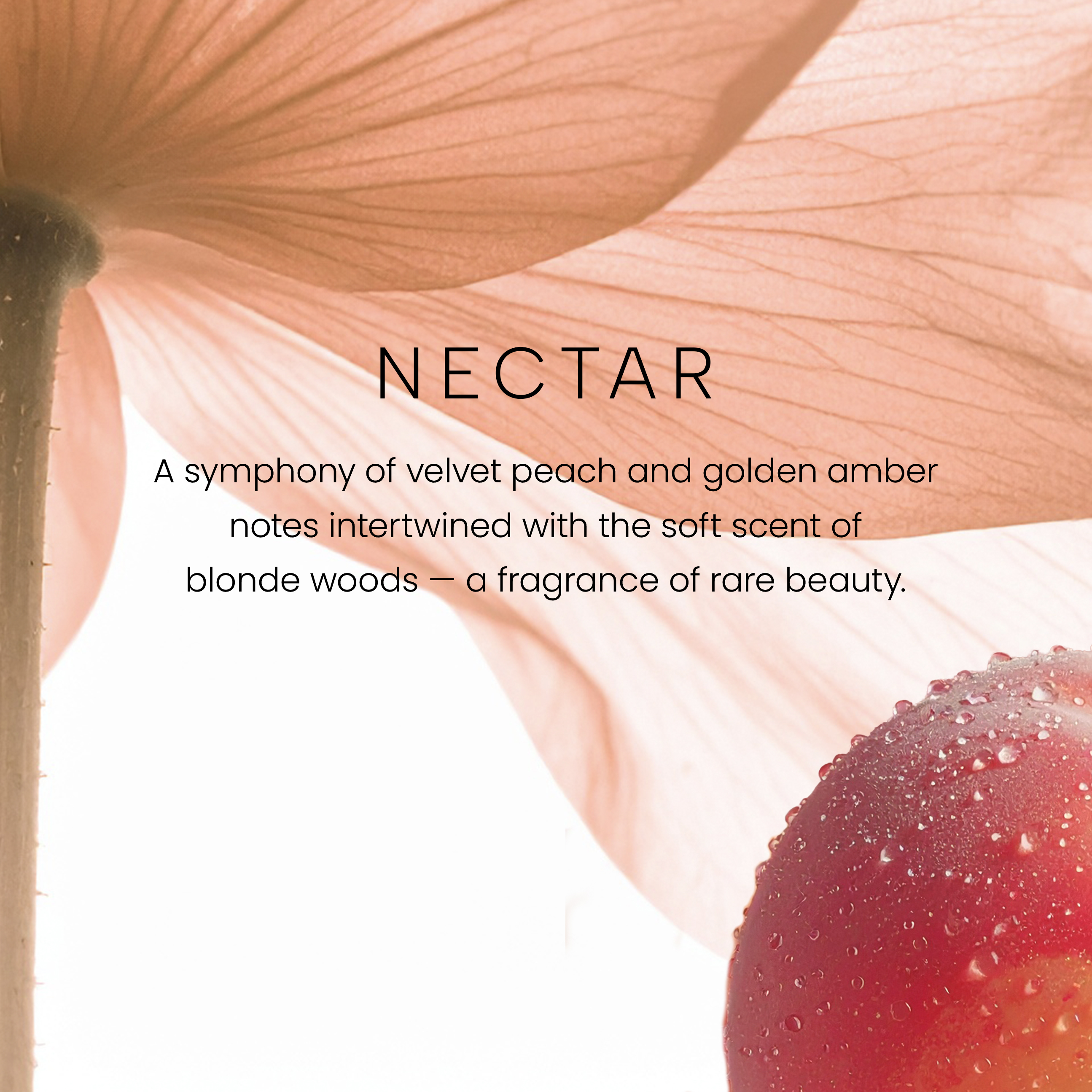 Nectar - Image 2