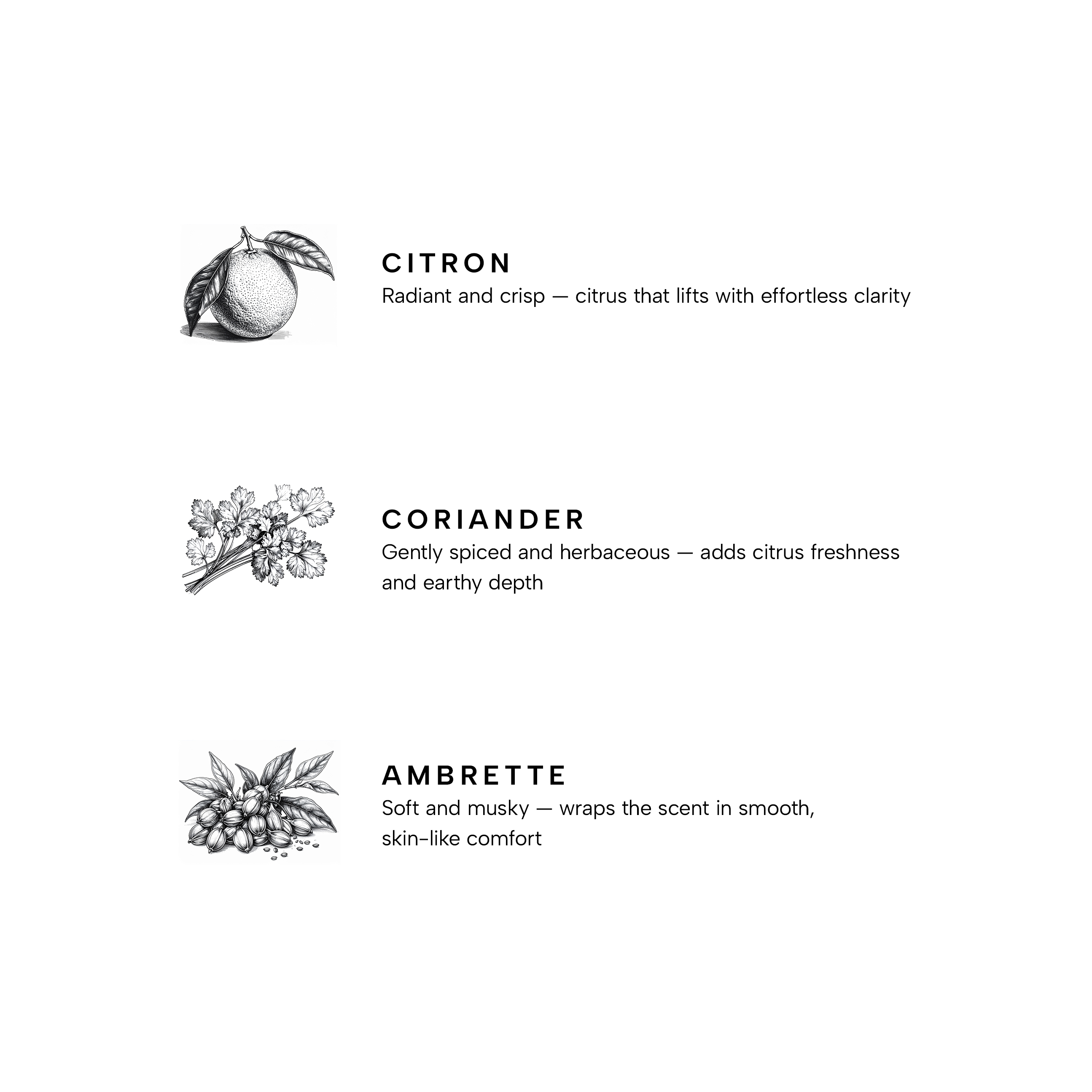 Citron - Image 4