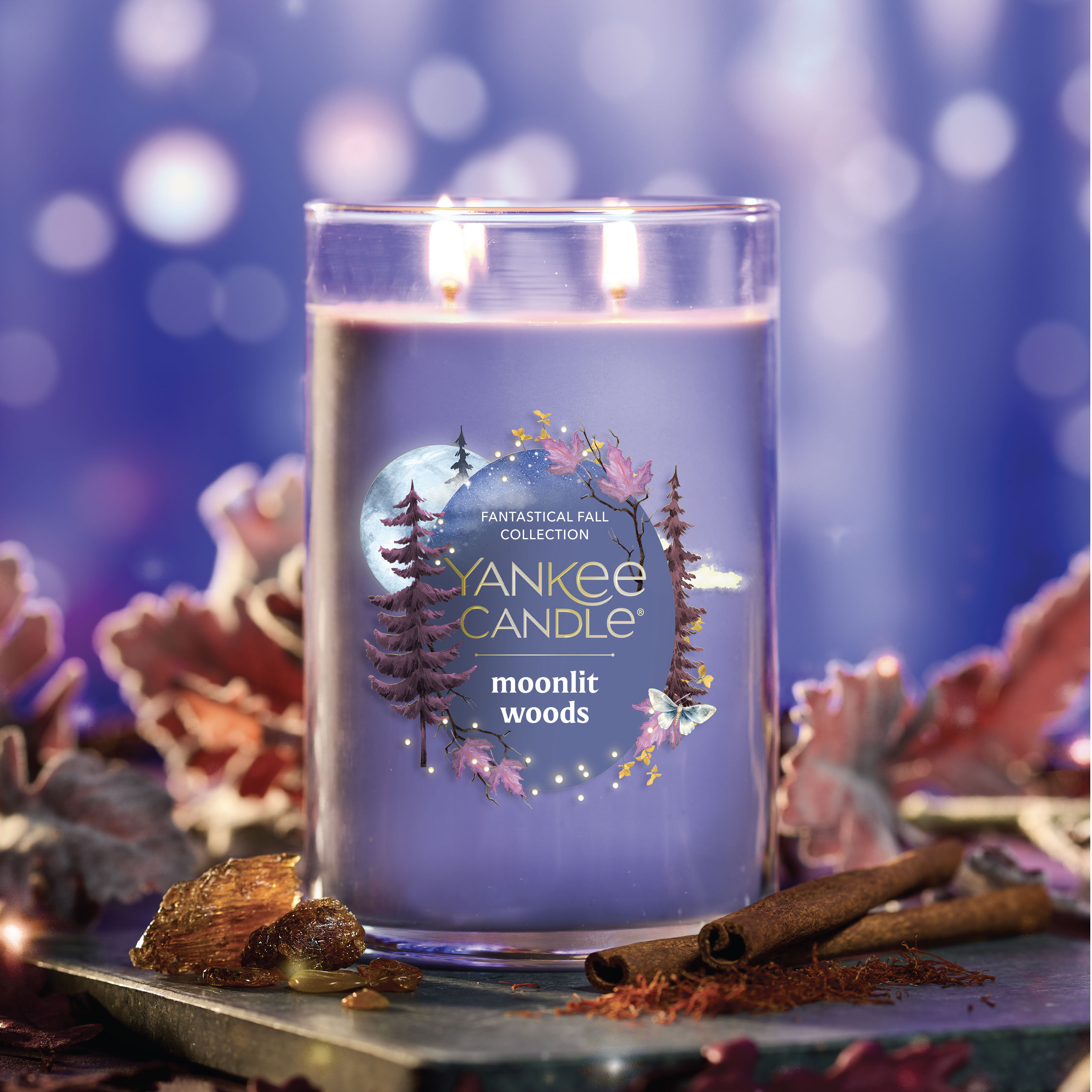 Moonlit Woods - Image 9