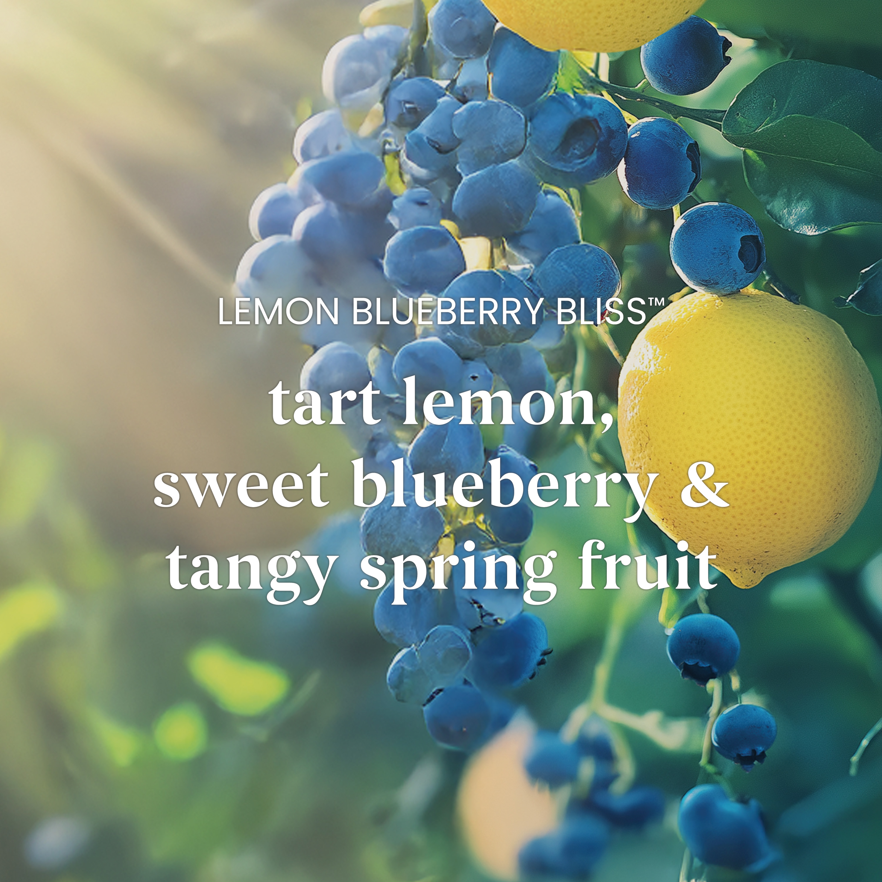 Lemon Blueberry Bliss - Image 3