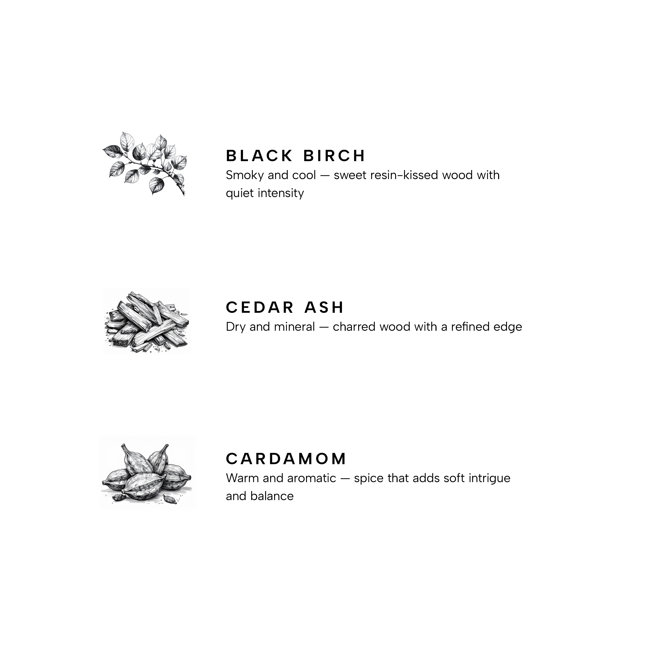 Birch - Image 4