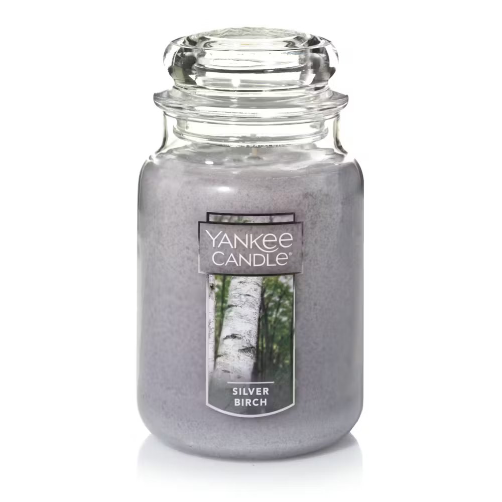 Silver Birch - Image 14