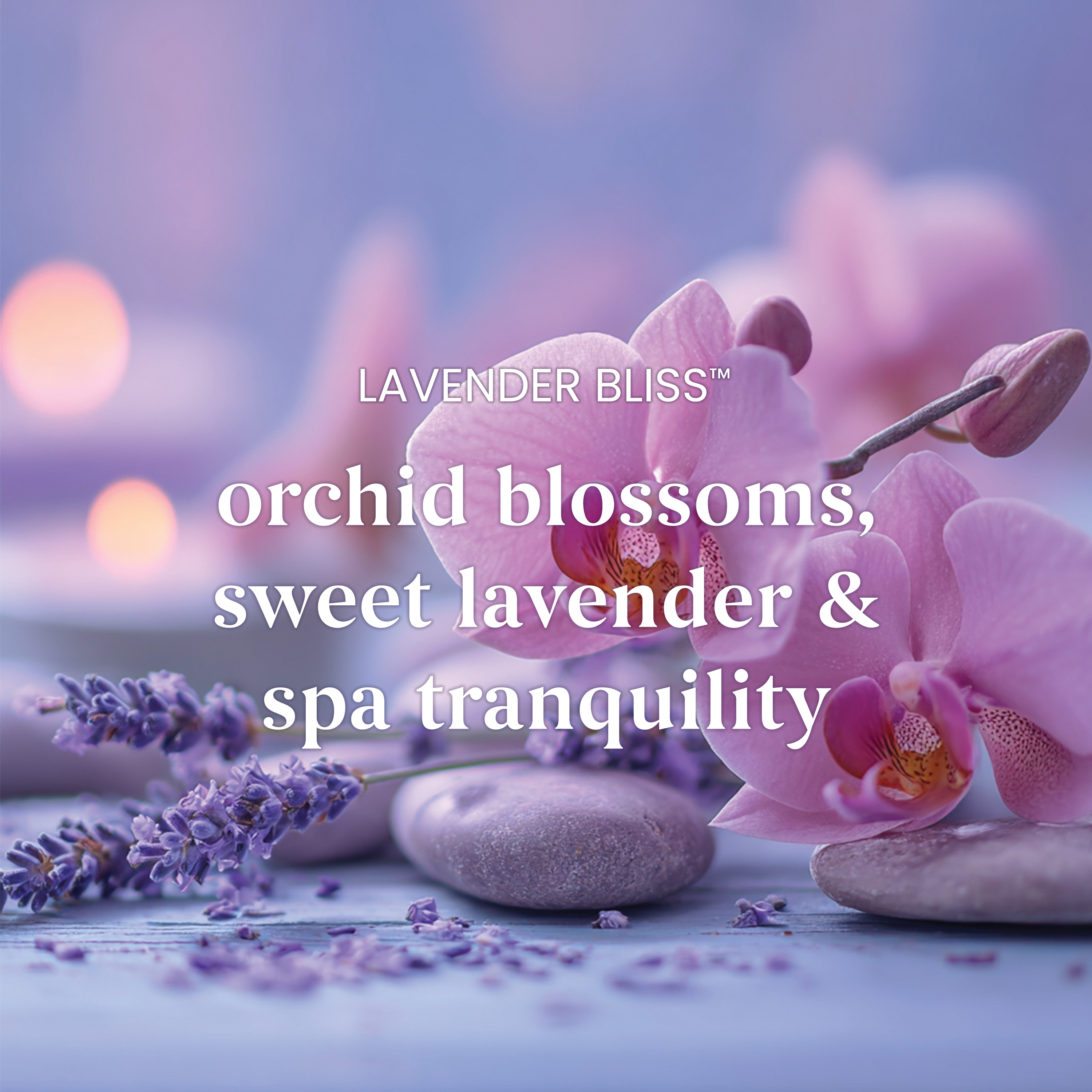 Lavender Bliss - Image 3