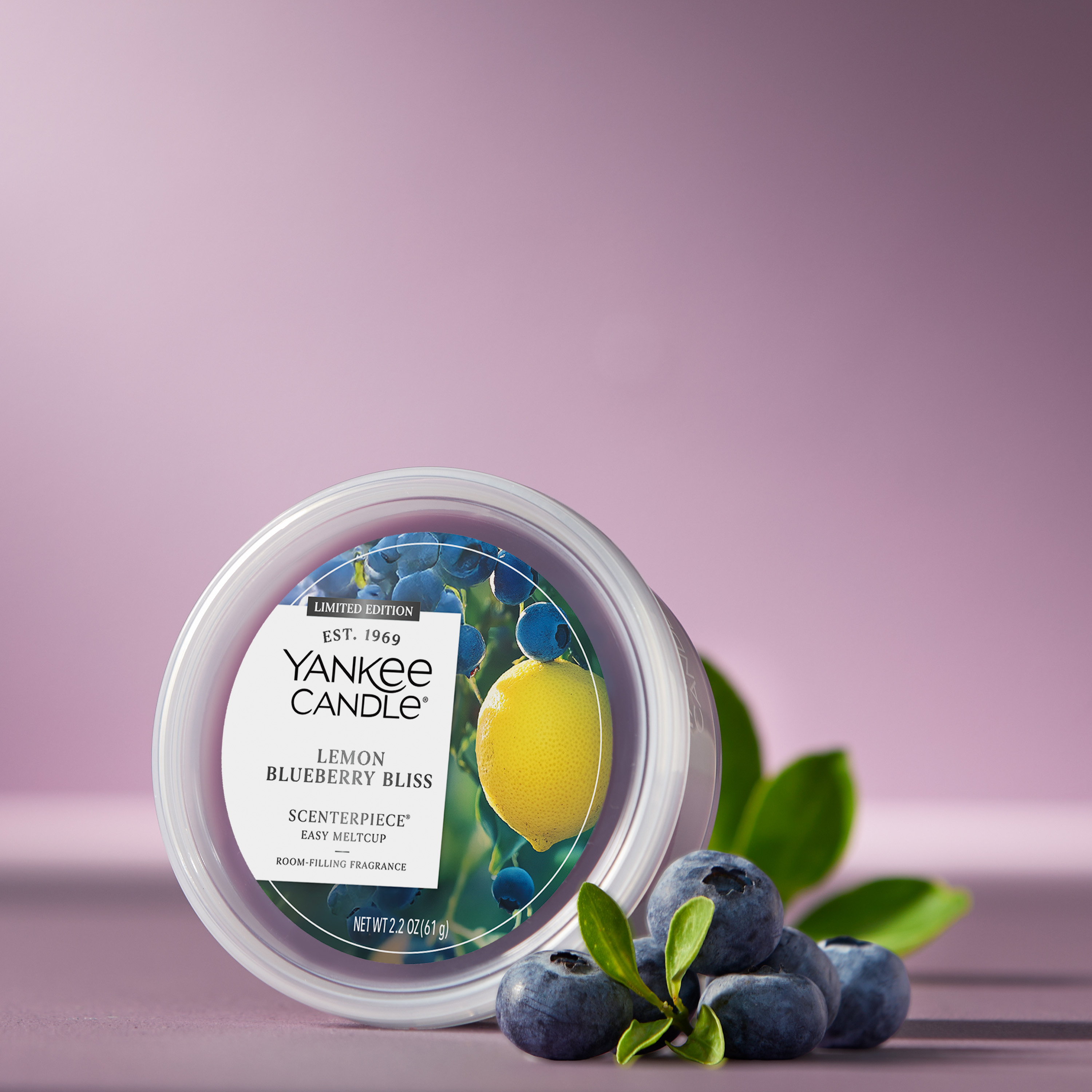 Lemon Blueberry Bliss - Image 13
