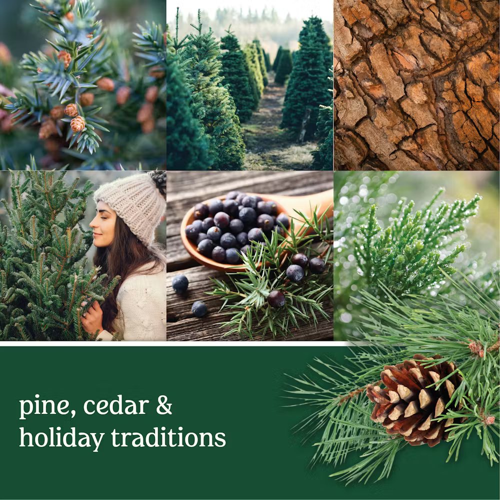 Balsam & Cedar - Image 32
