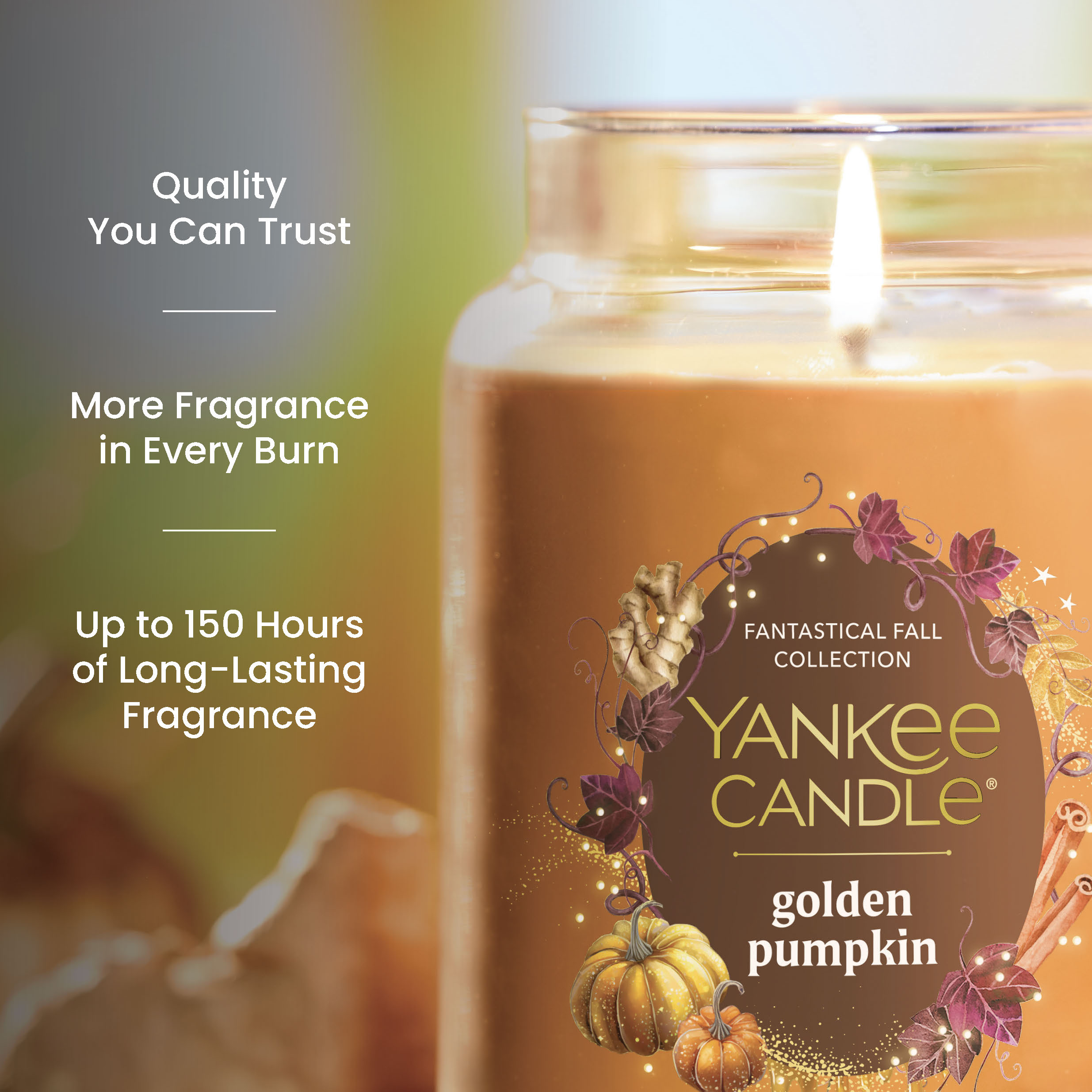 Golden Pumpkin - Image 4