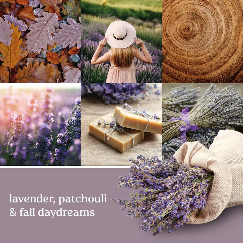 Dried Lavender & Oak - Image 16