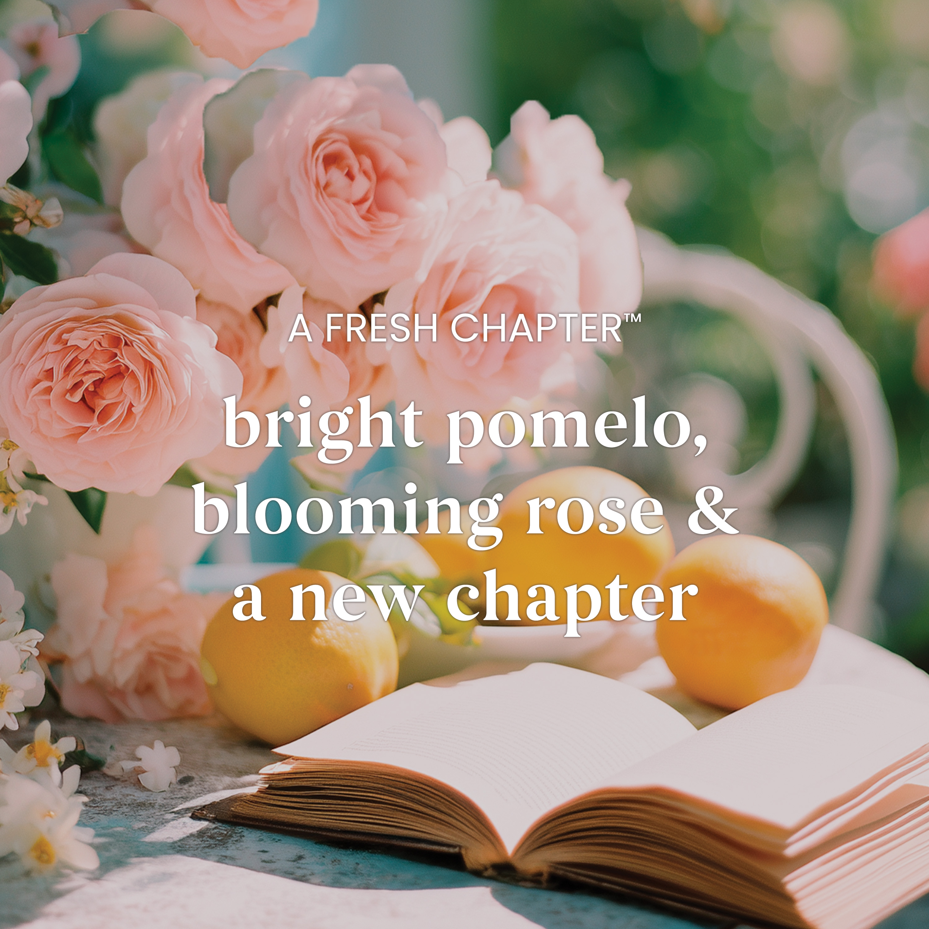 A Fresh Chapter - Image 3