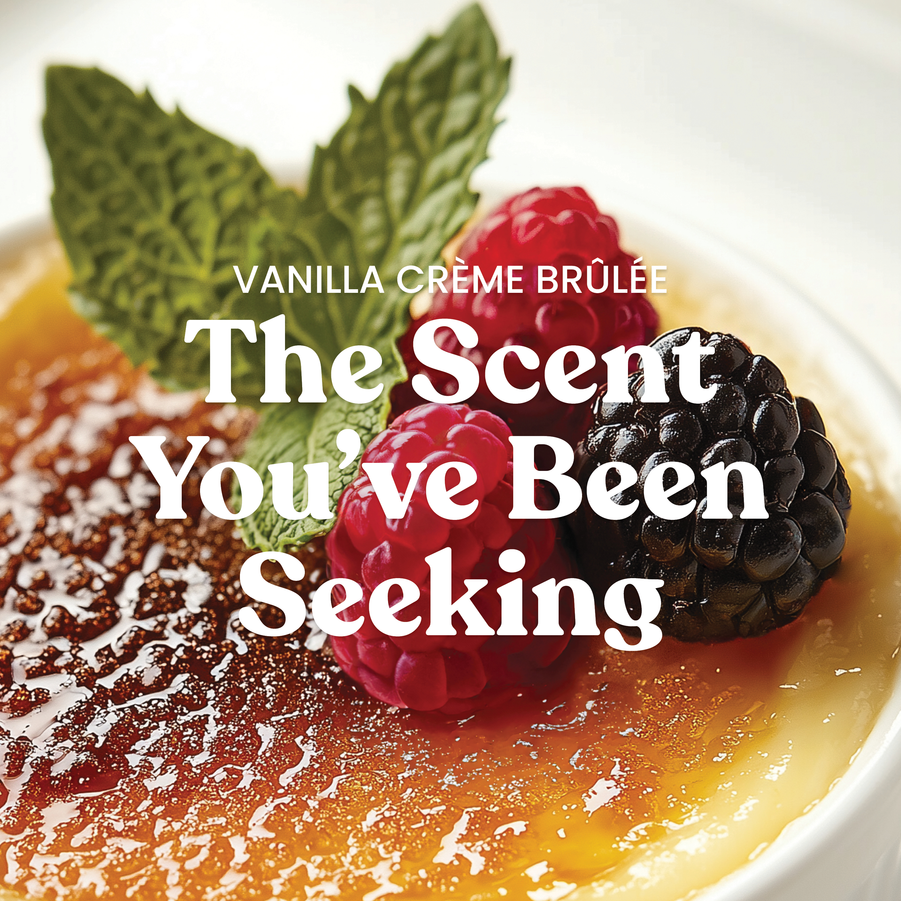 Vanilla Crème Brûlée - Image 3