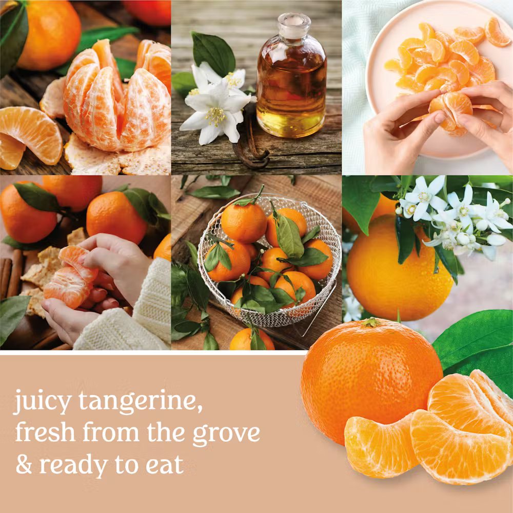 Tangerine & Vanilla - Image 2