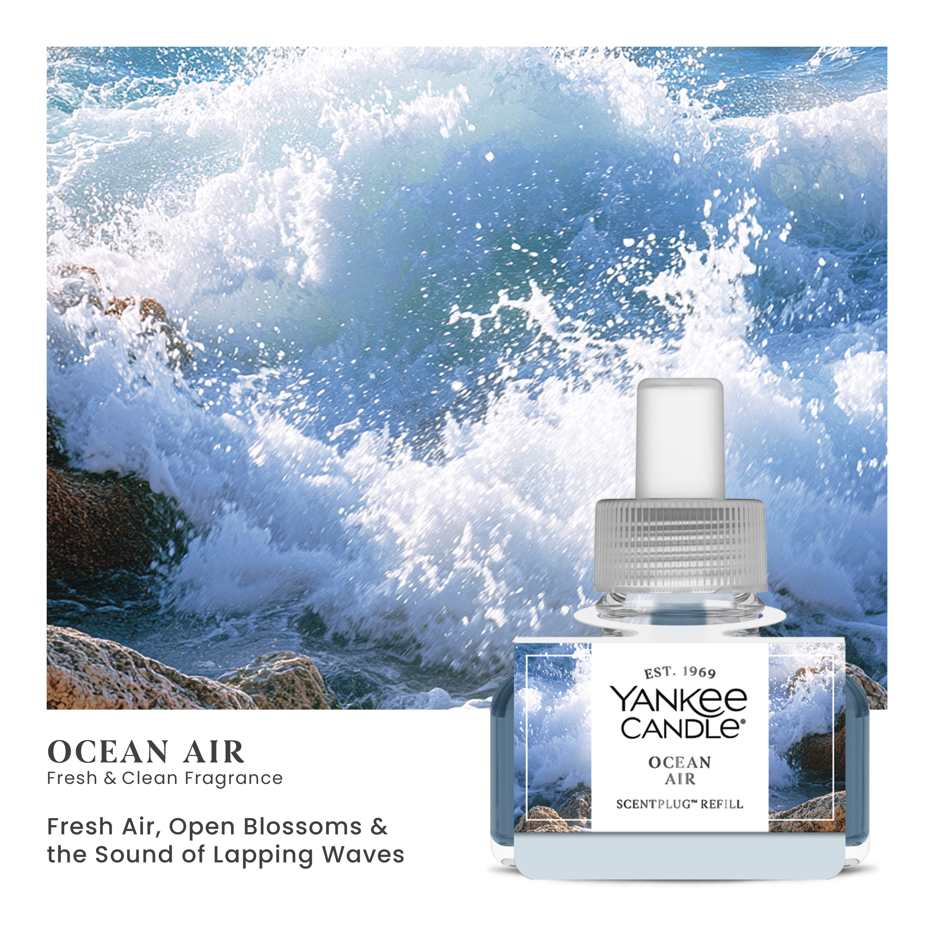 Ocean Air - Image 22
